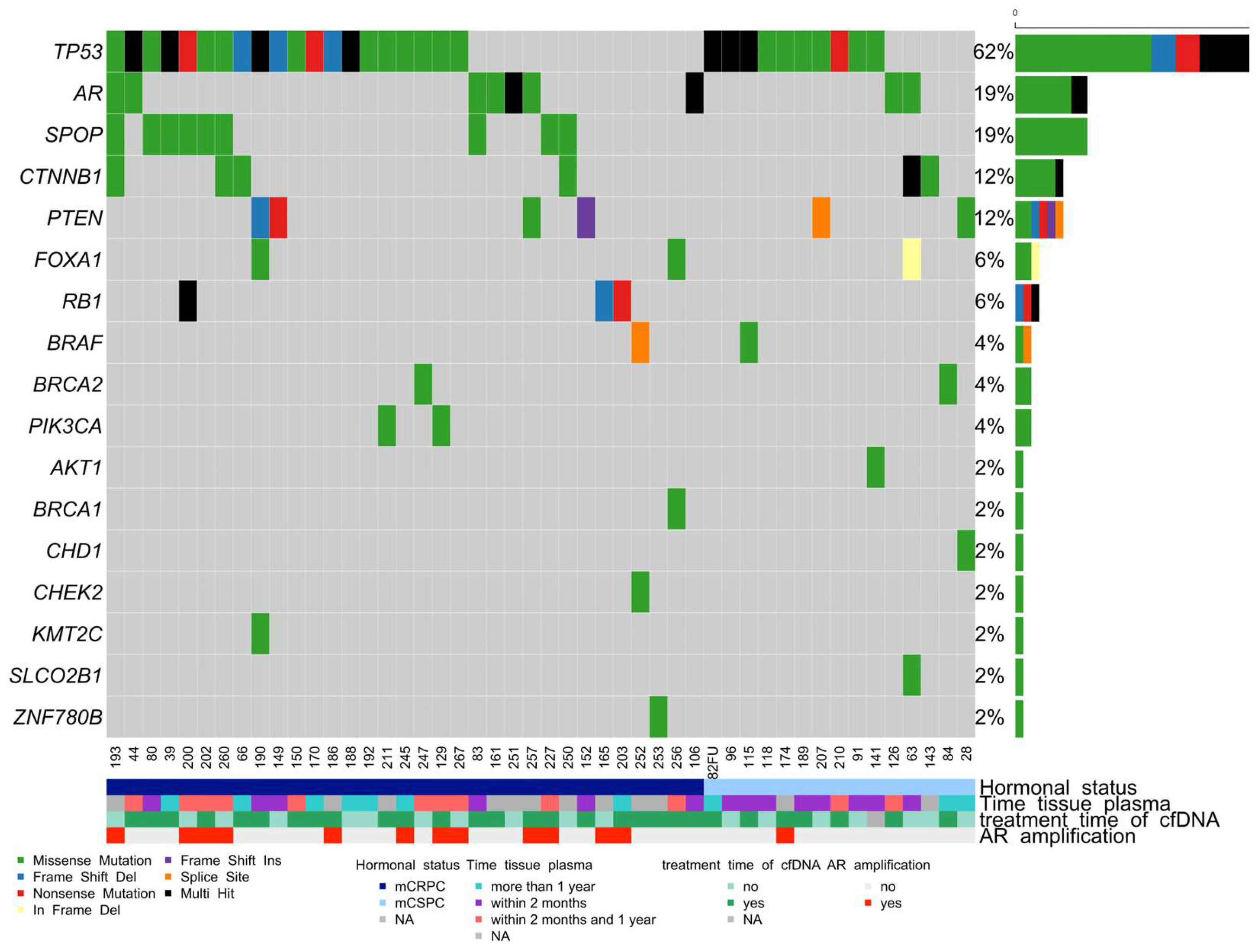 Cancers 16 00045 g003