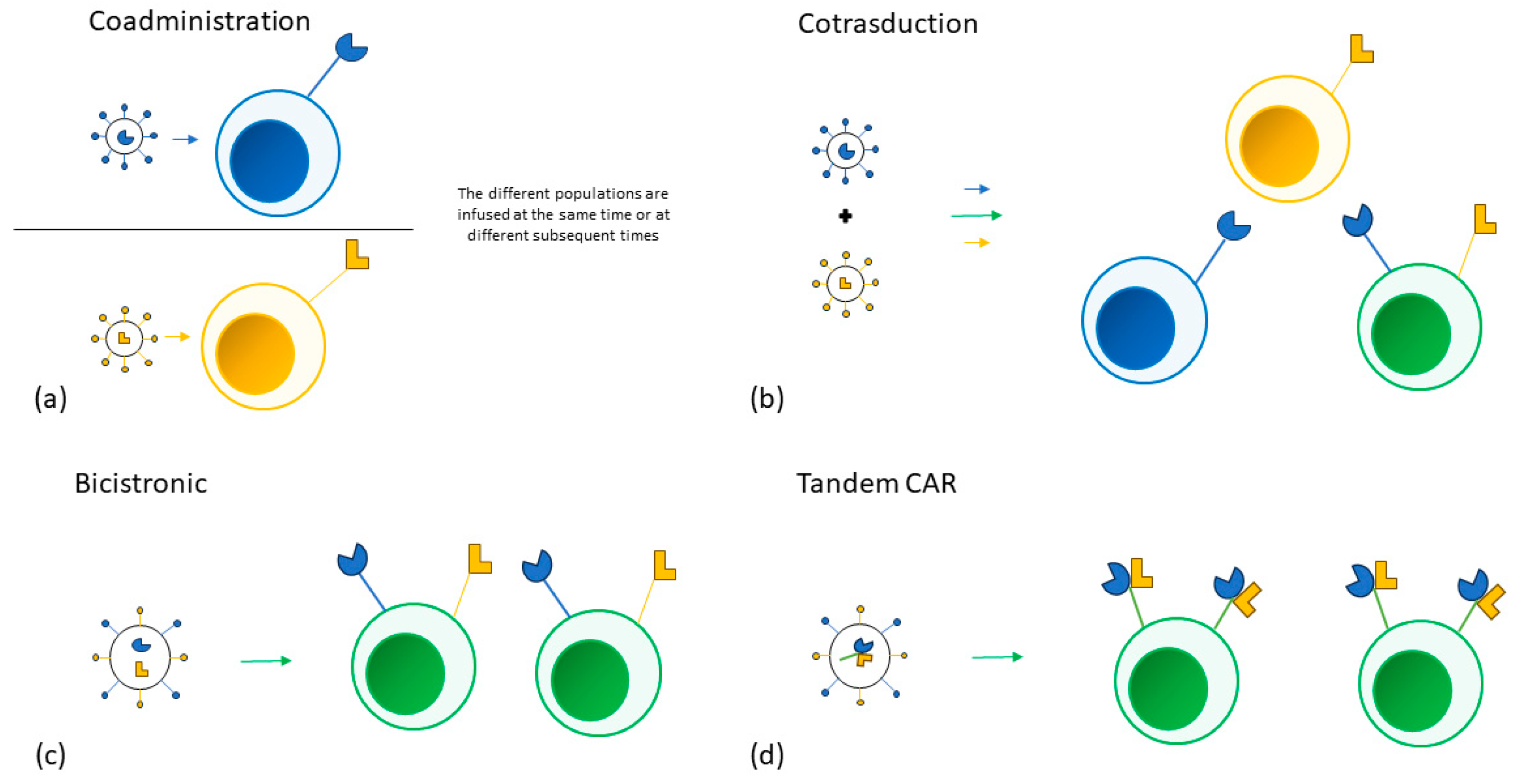 Cancers 16 00046 g001