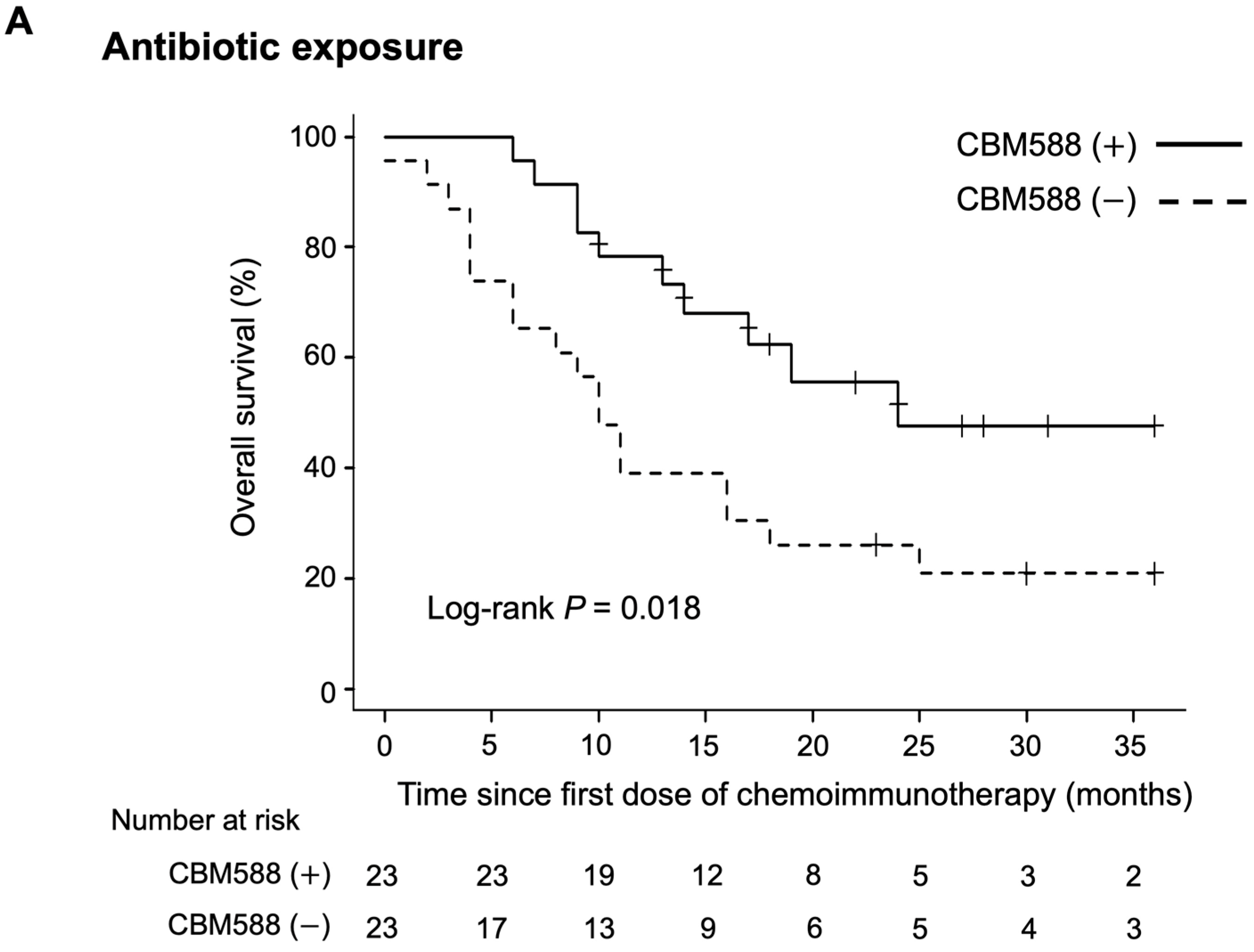 Cancers 16 00047 g005a