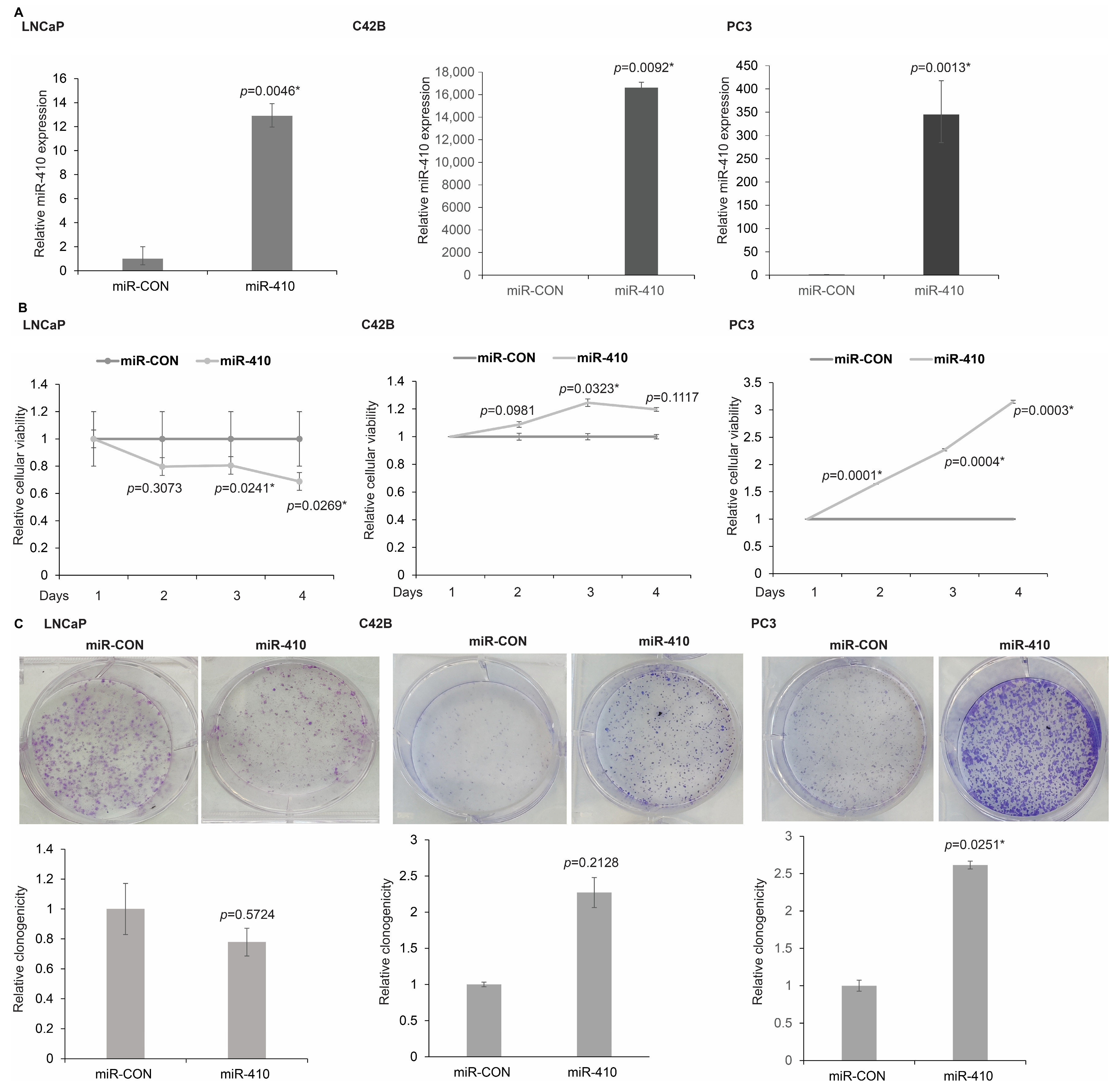 Cancers 16 00048 g002 Cancers 16 00048 g002