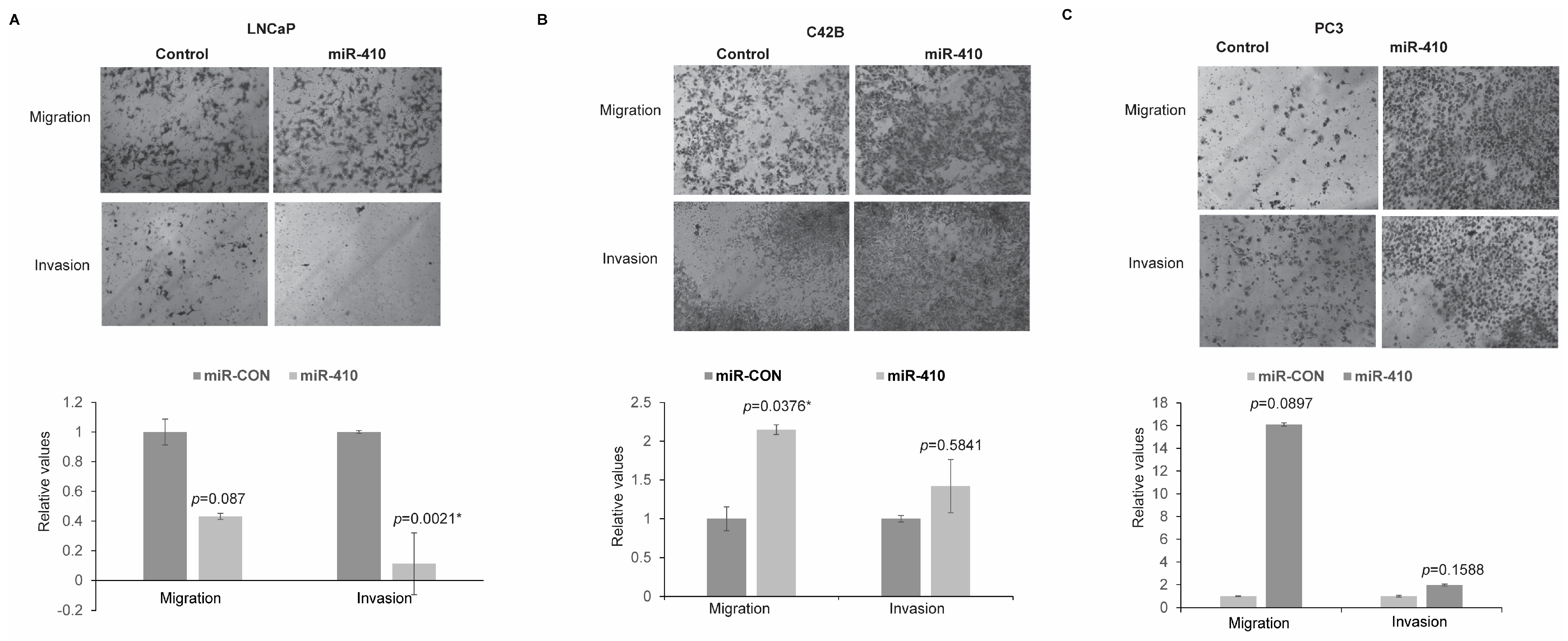 Cancers 16 00048 g004 Cancers 16 00048 g004