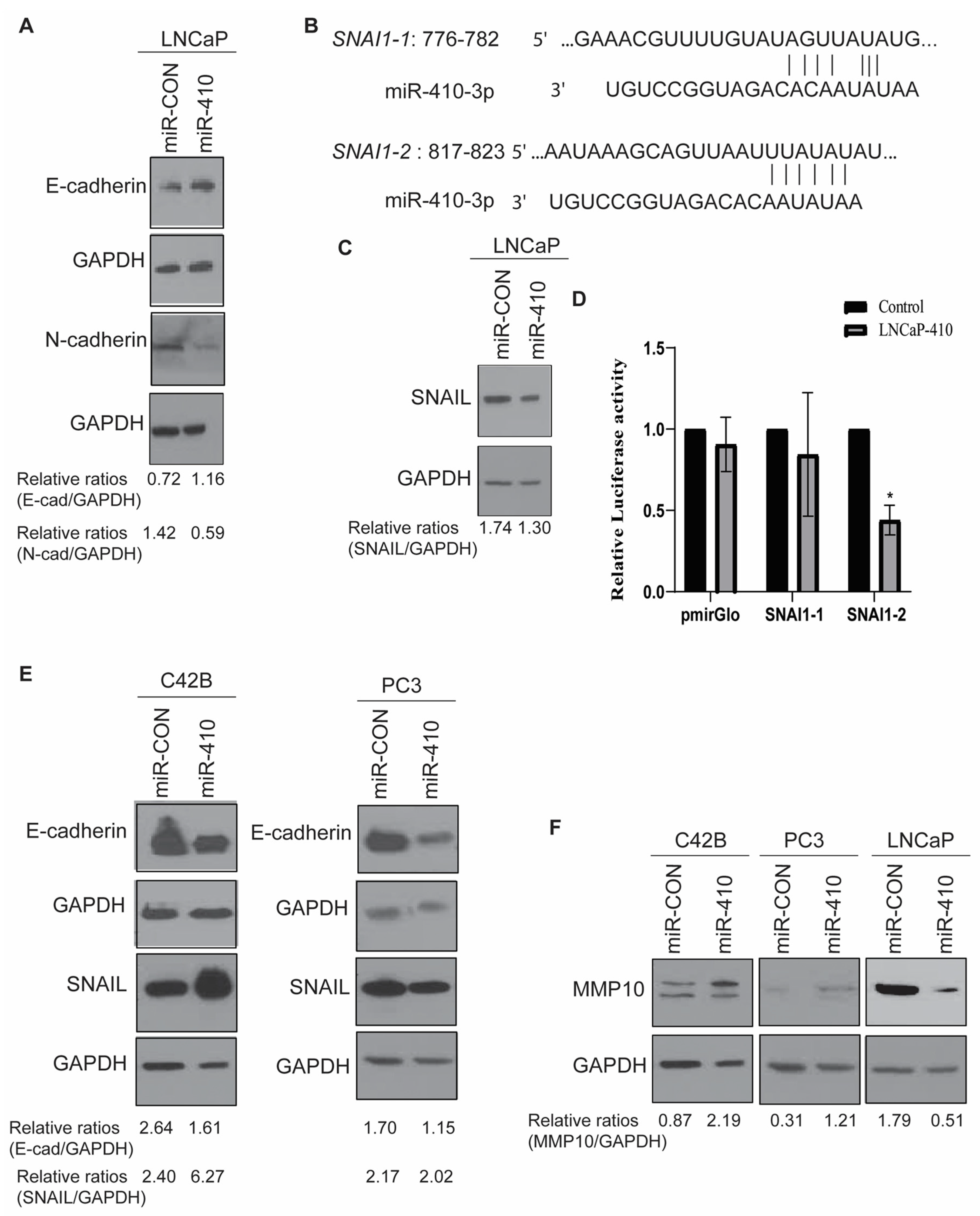 Cancers 16 00048 g005 Cancers 16 00048 g005
