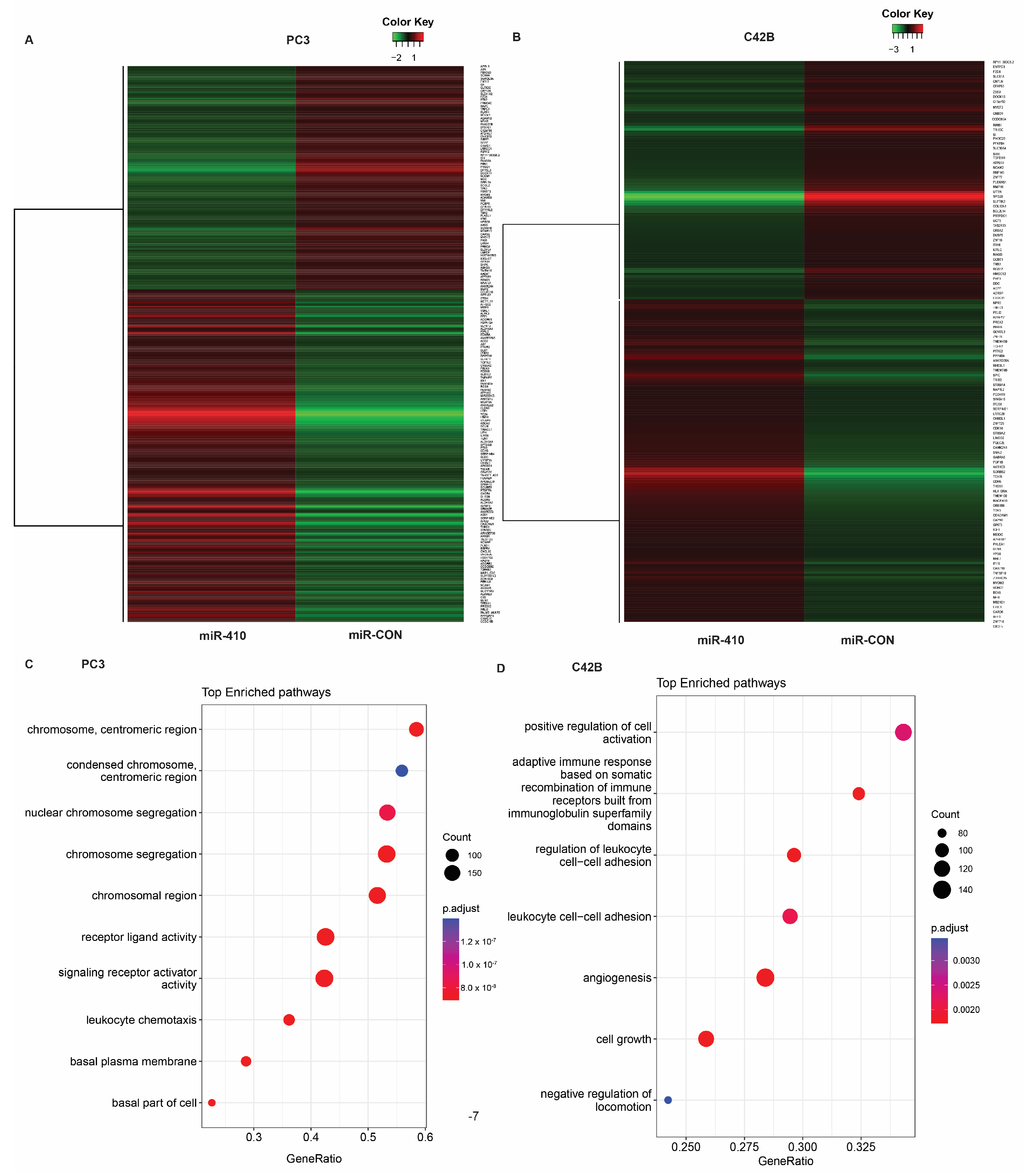 Cancers 16 00048 g006 Cancers 16 00048 g006