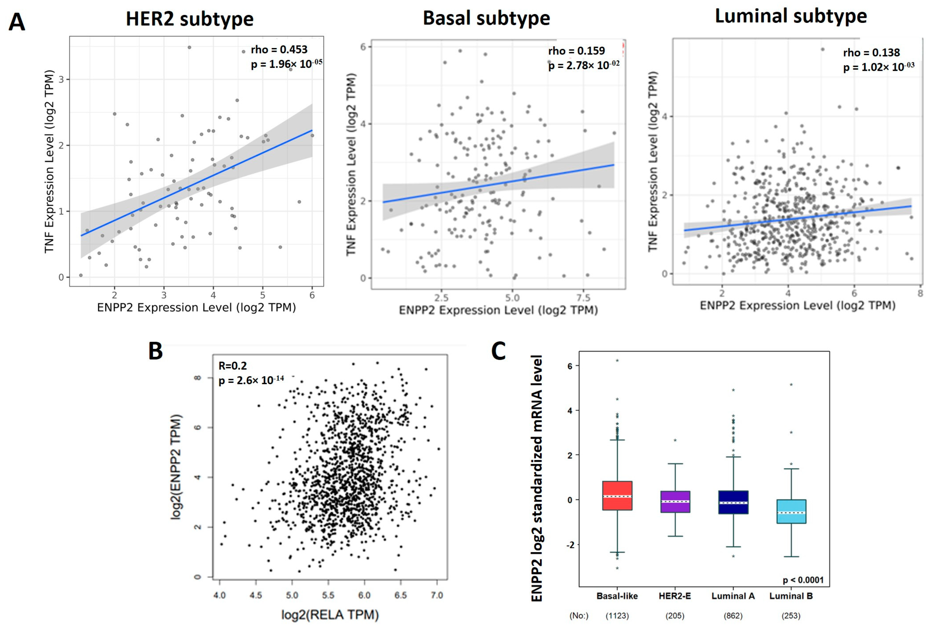Cancers 16 00052 g004 Cancers 16 00052 g004
