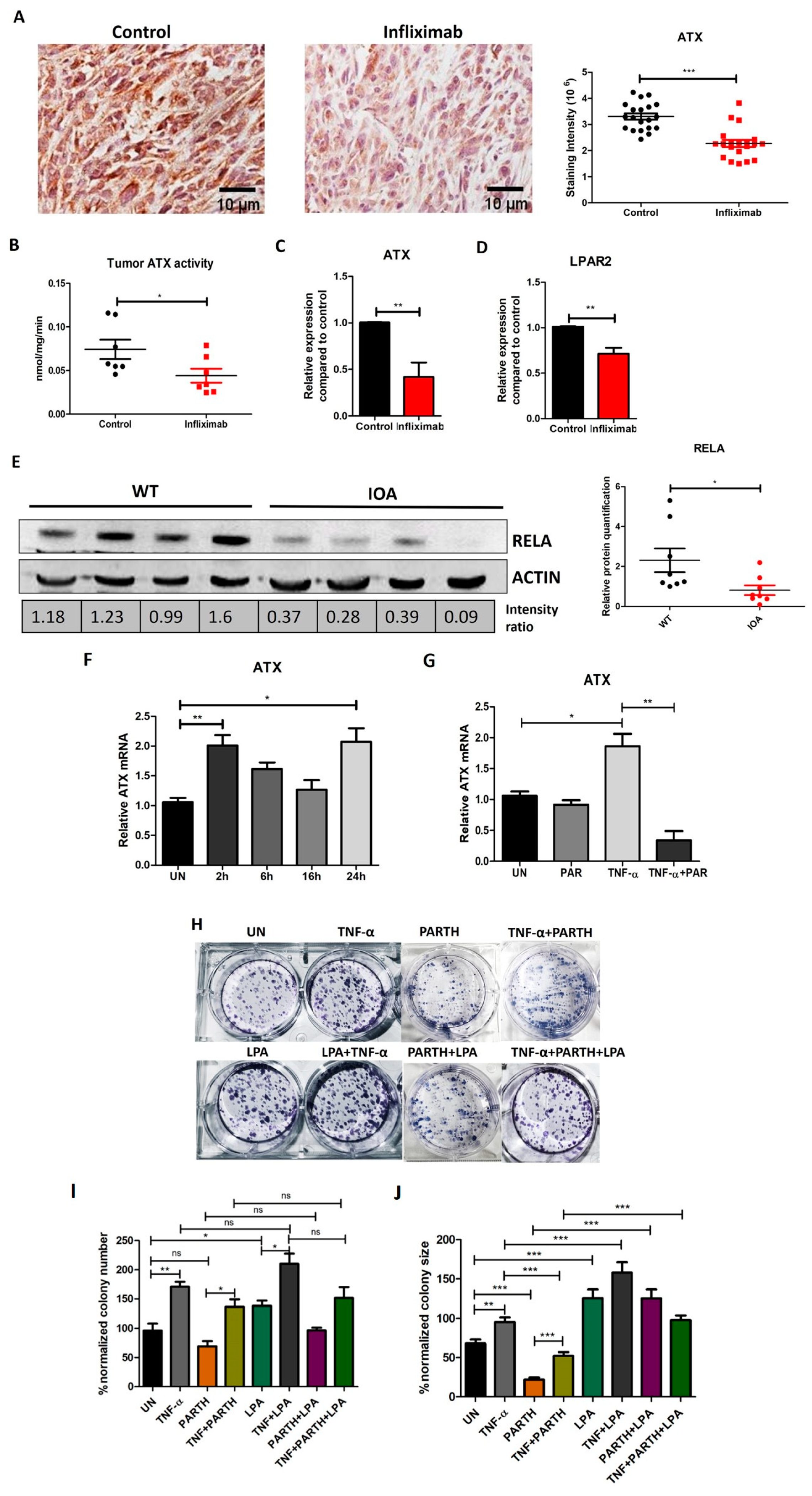 Cancers 16 00052 g005 Cancers 16 00052 g005