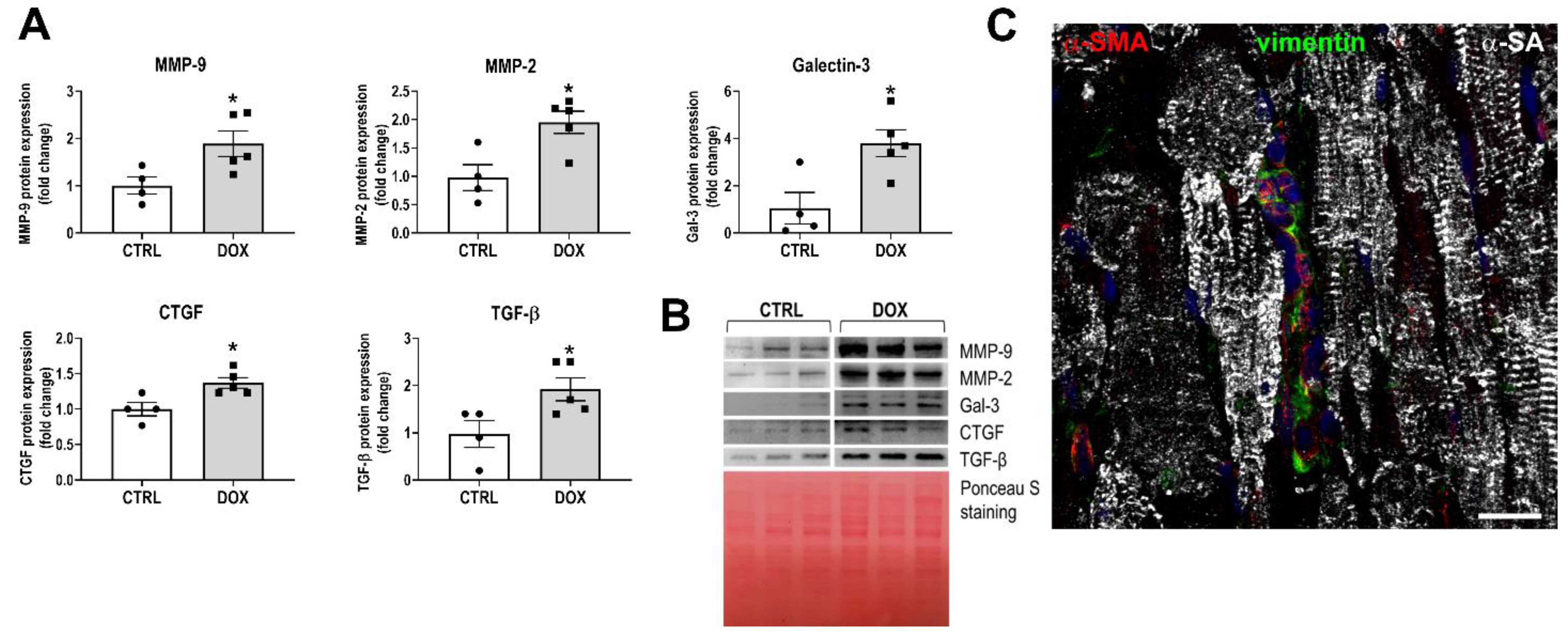 Cancers 16 00053 g002