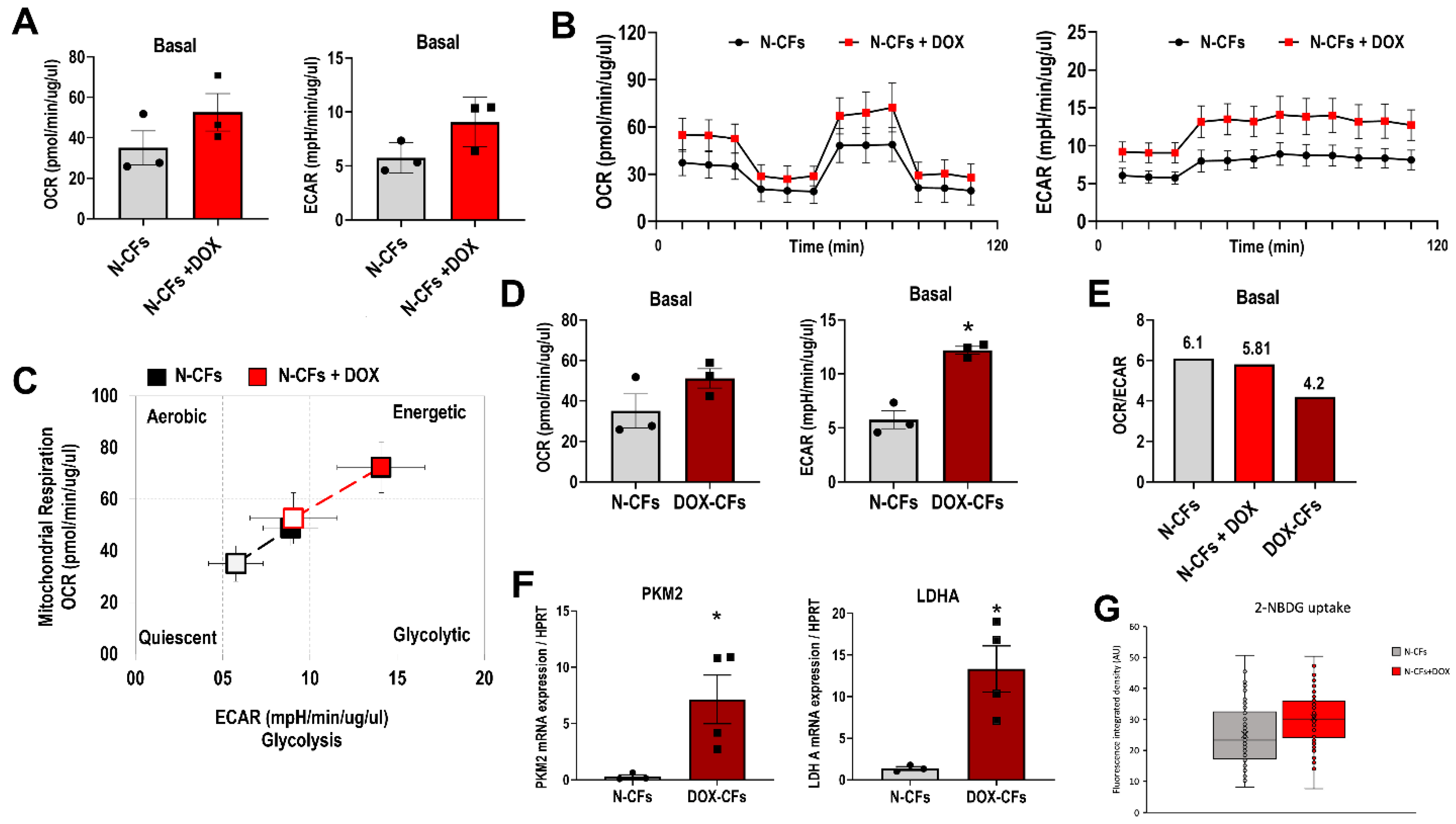 Cancers 16 00053 g005