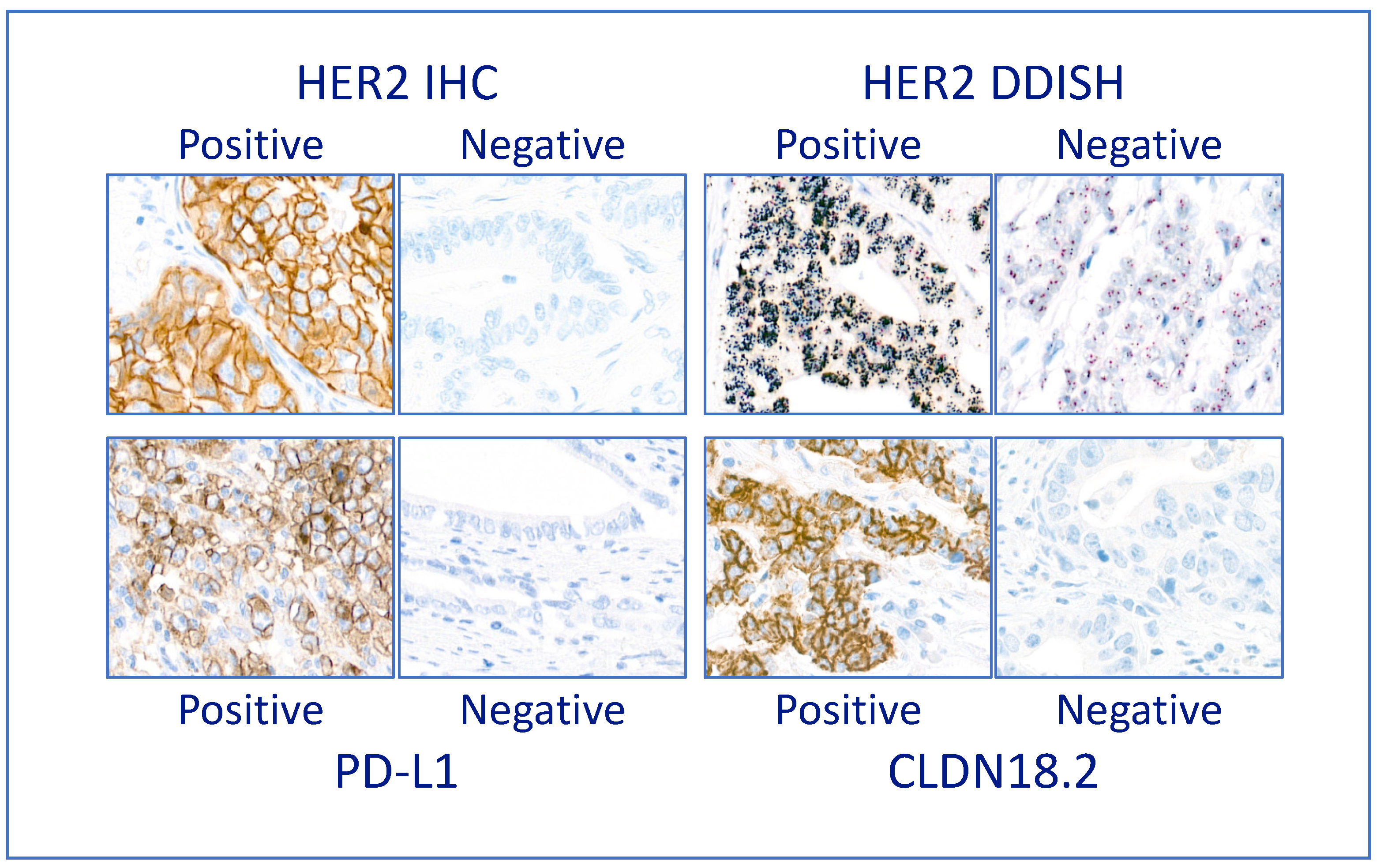 Cancers 16 00055 g002 Cancers 16 00055 g002