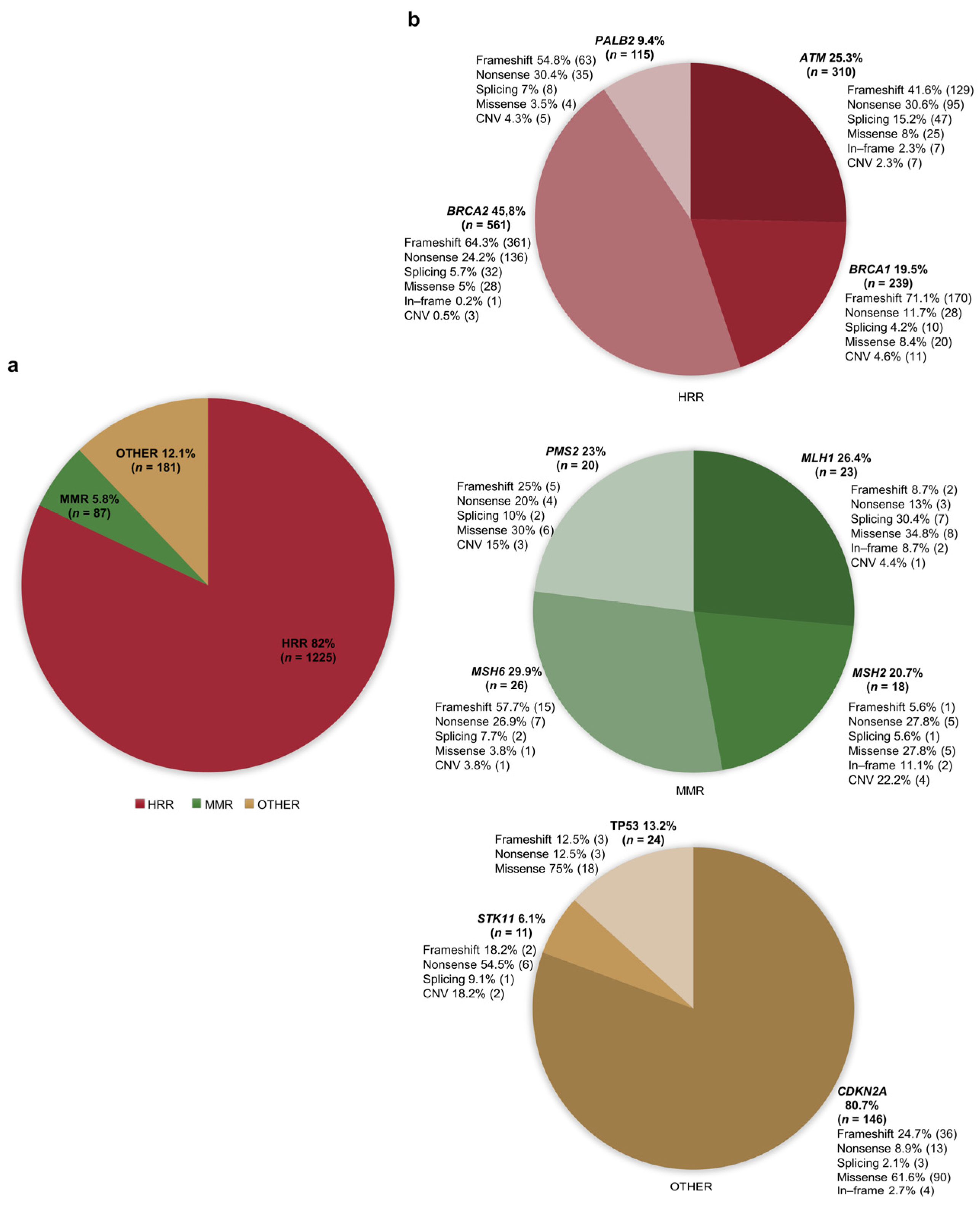 Cancers 16 00056 g002 Cancers 16 00056 g002