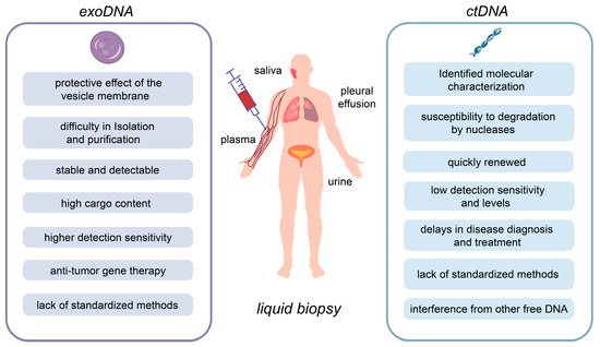 【即納&大特価】 Exosomal DNA: Role in Reflecting Tumor Genetic Heterogeneity パーツ
