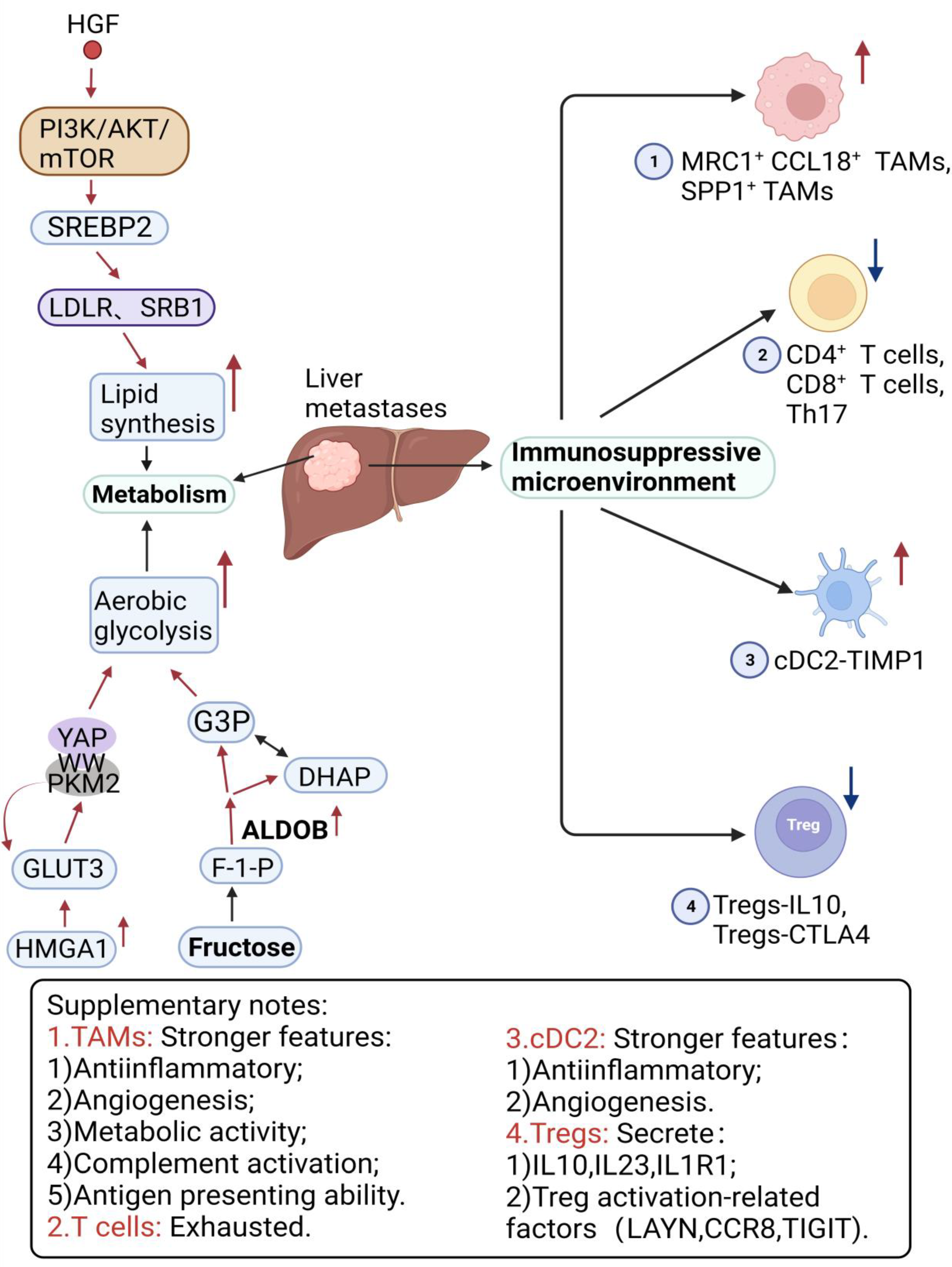 Cancers 16 00059 g002