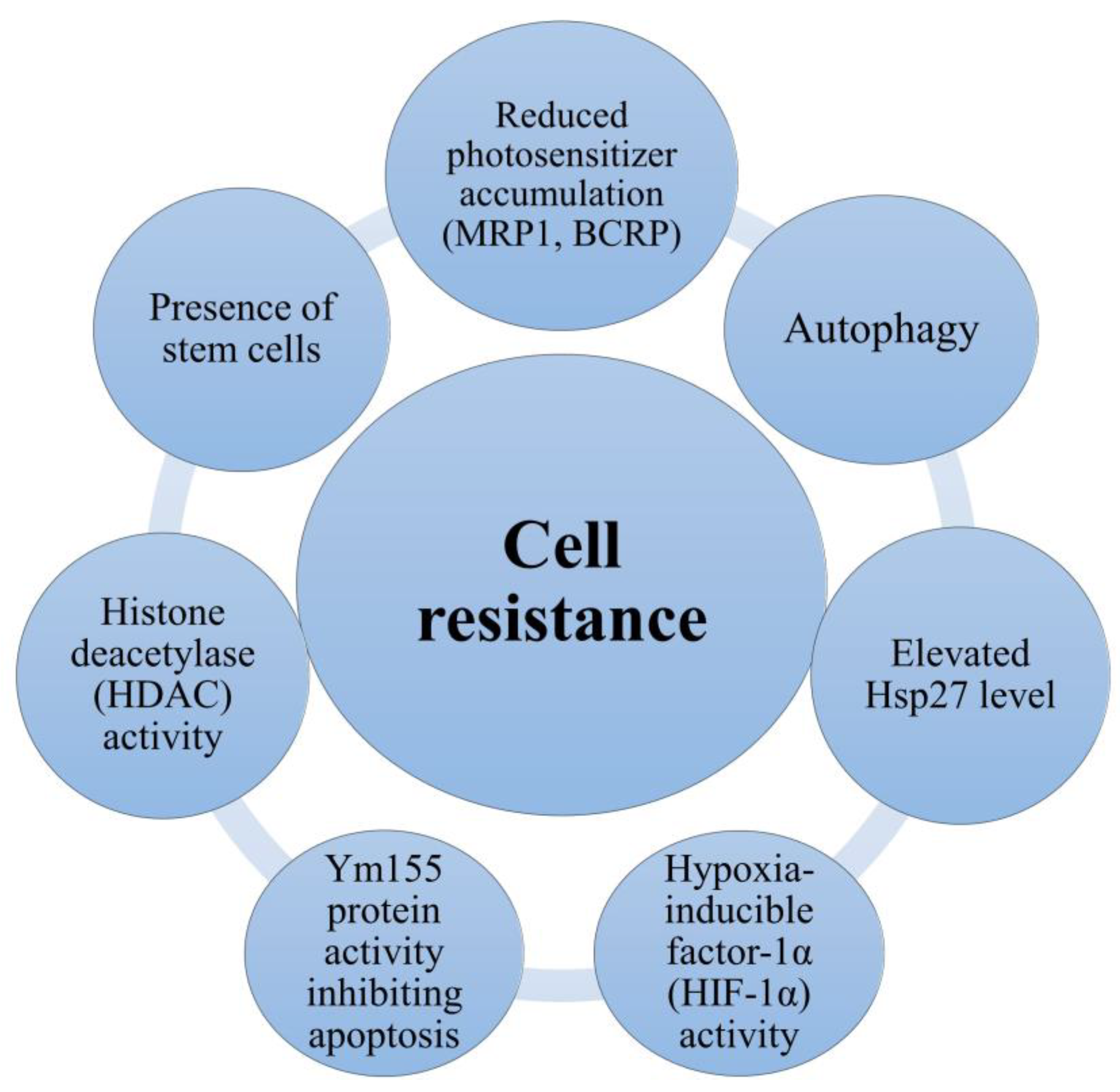 Cancers 16 00066 g003