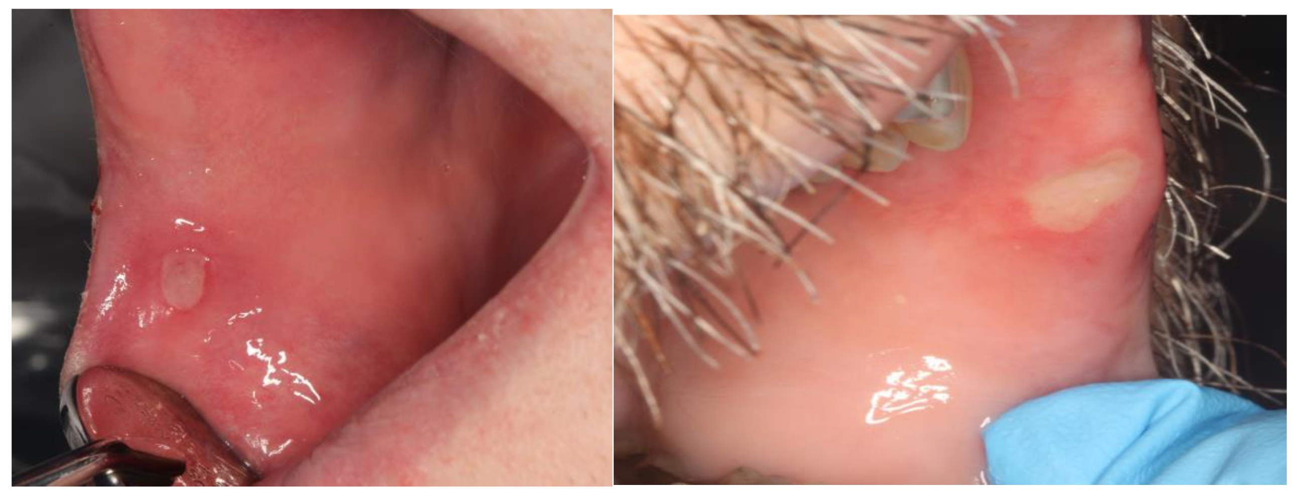 Cancers 16 00068 g001