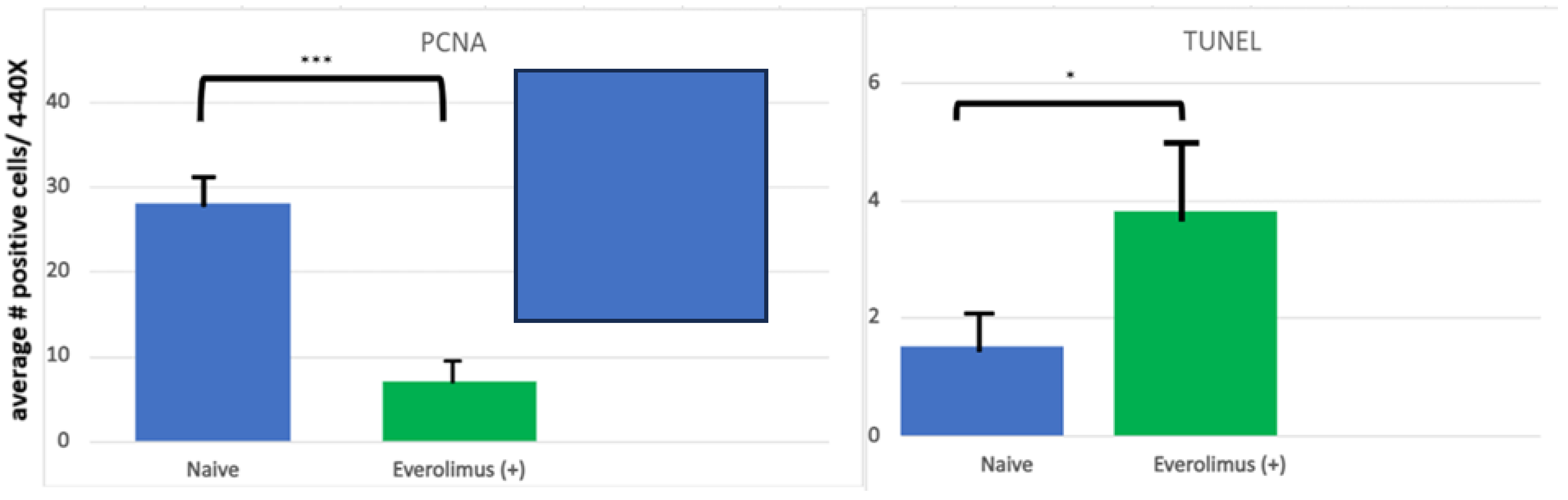 Cancers 16 00068 g003