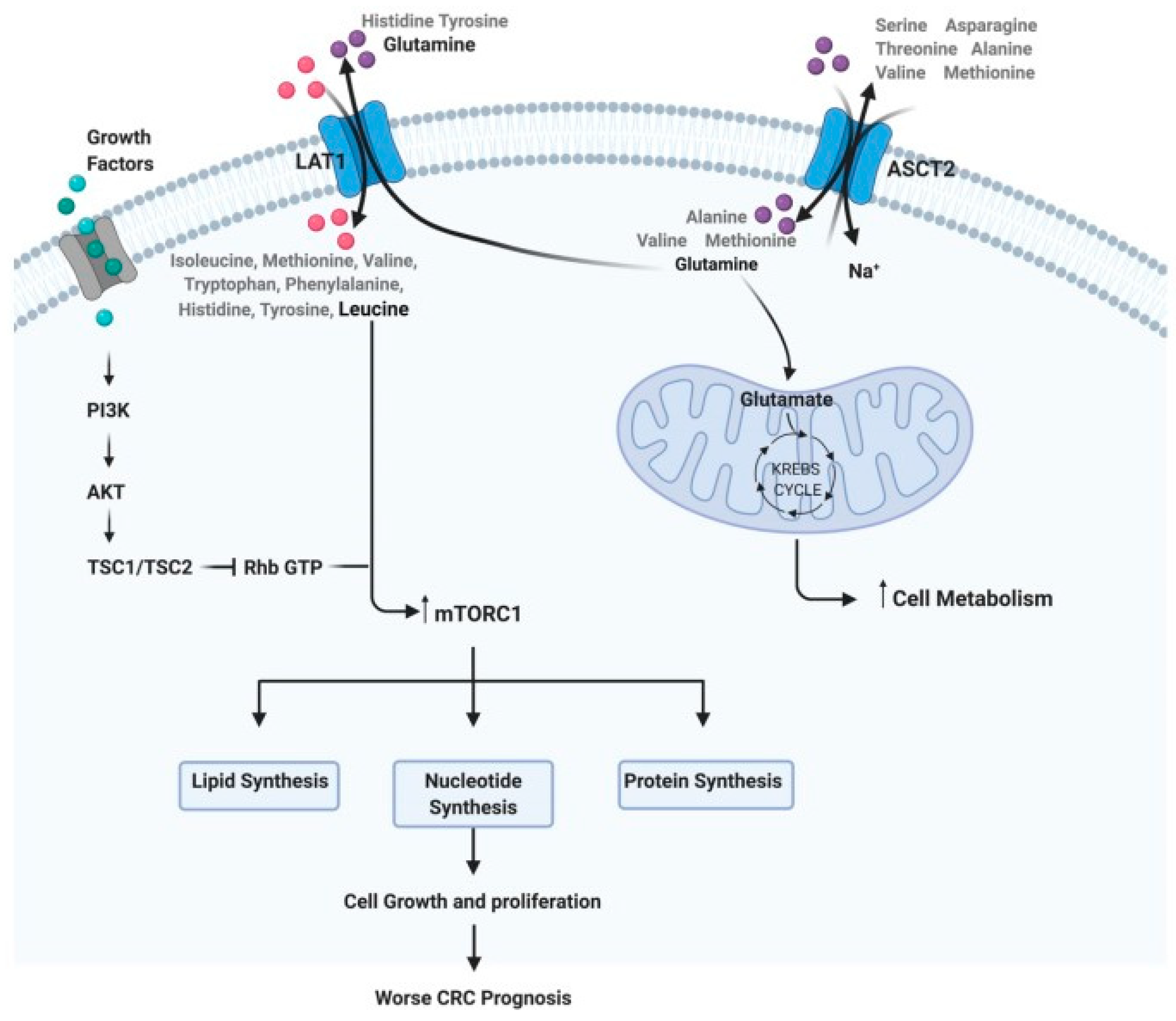 Cancers 16 00069 g001