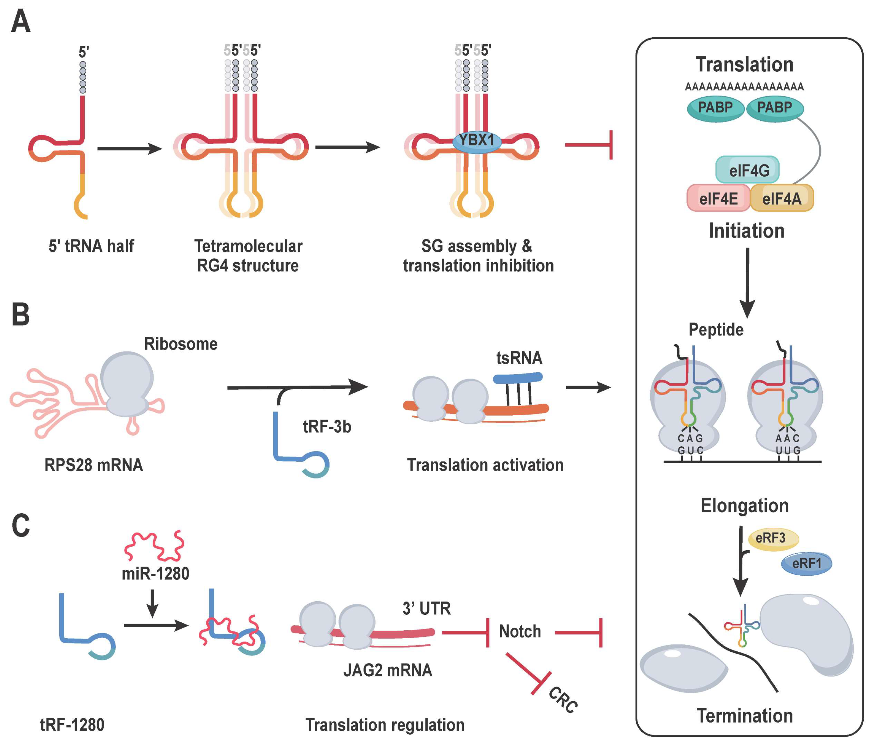 Cancers 16 00077 g005