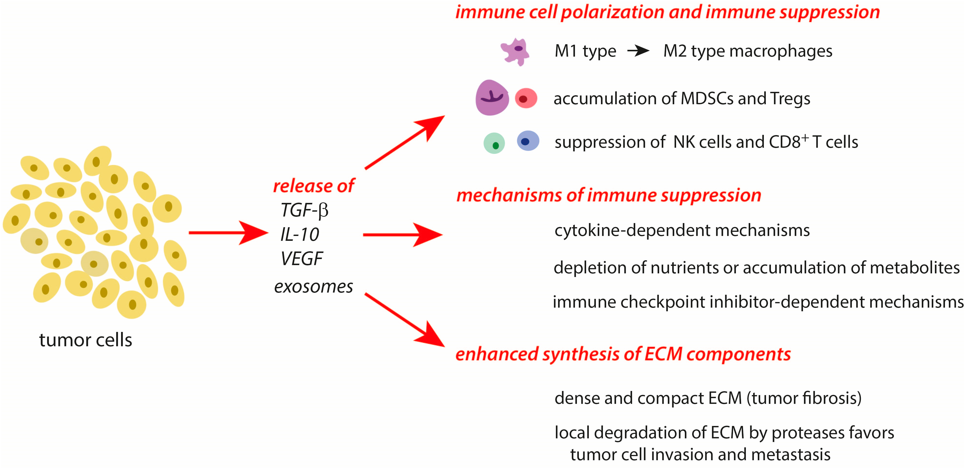 Cancers 16 00081 g002 Cancers 16 00081 g002