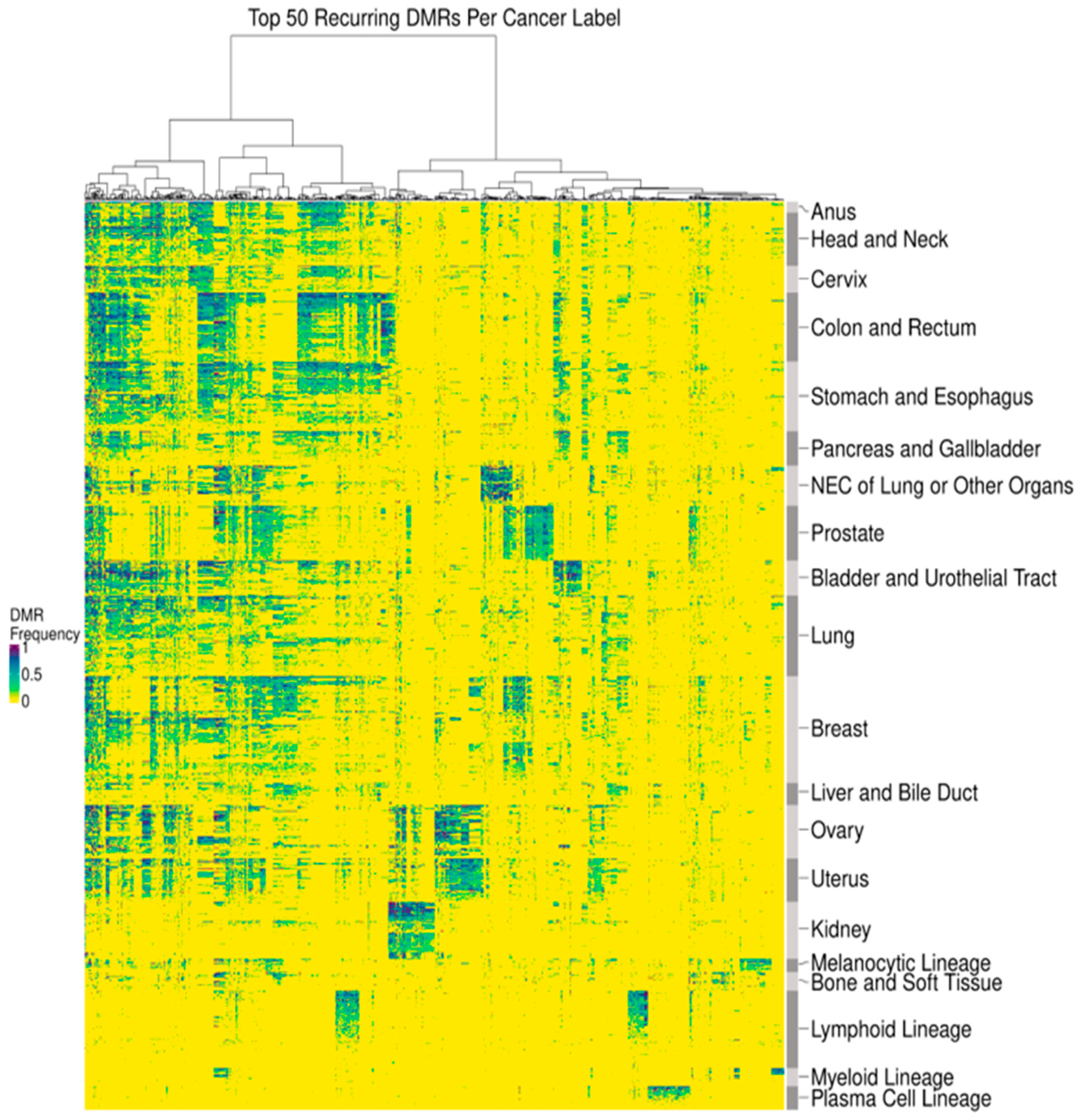 Cancers 16 00082 g002