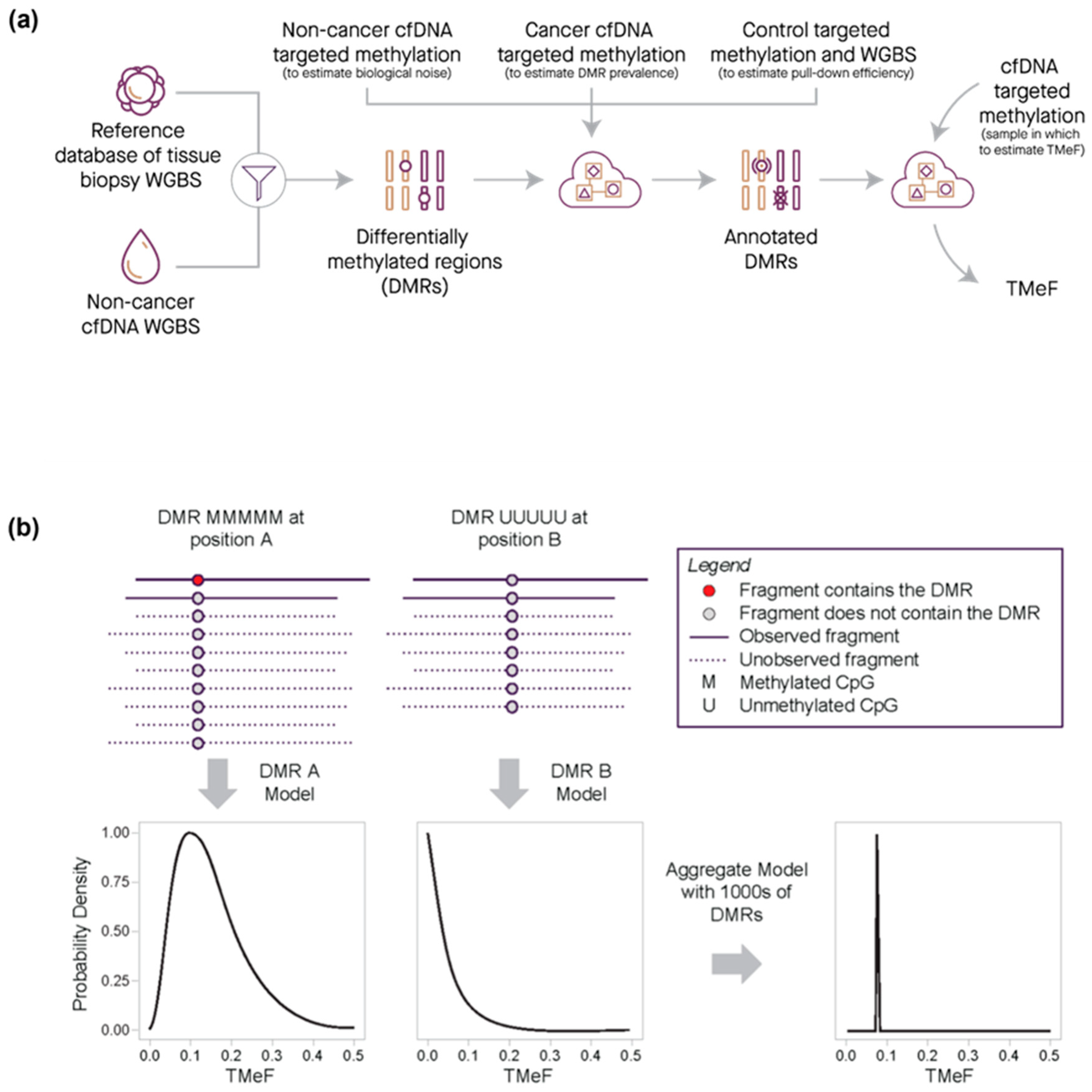 Cancers 16 00082 g003