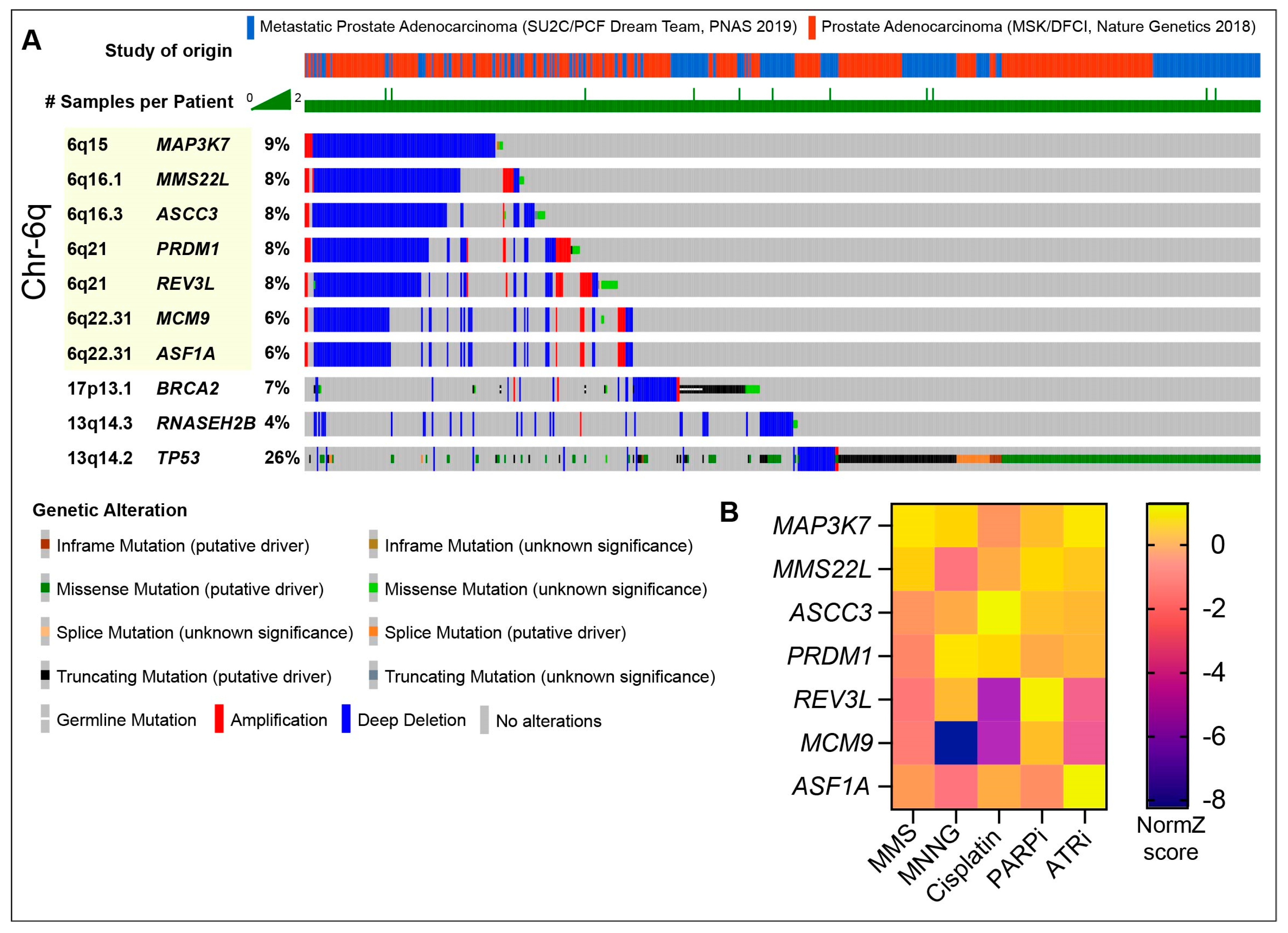 Cancers 16 00083 g003