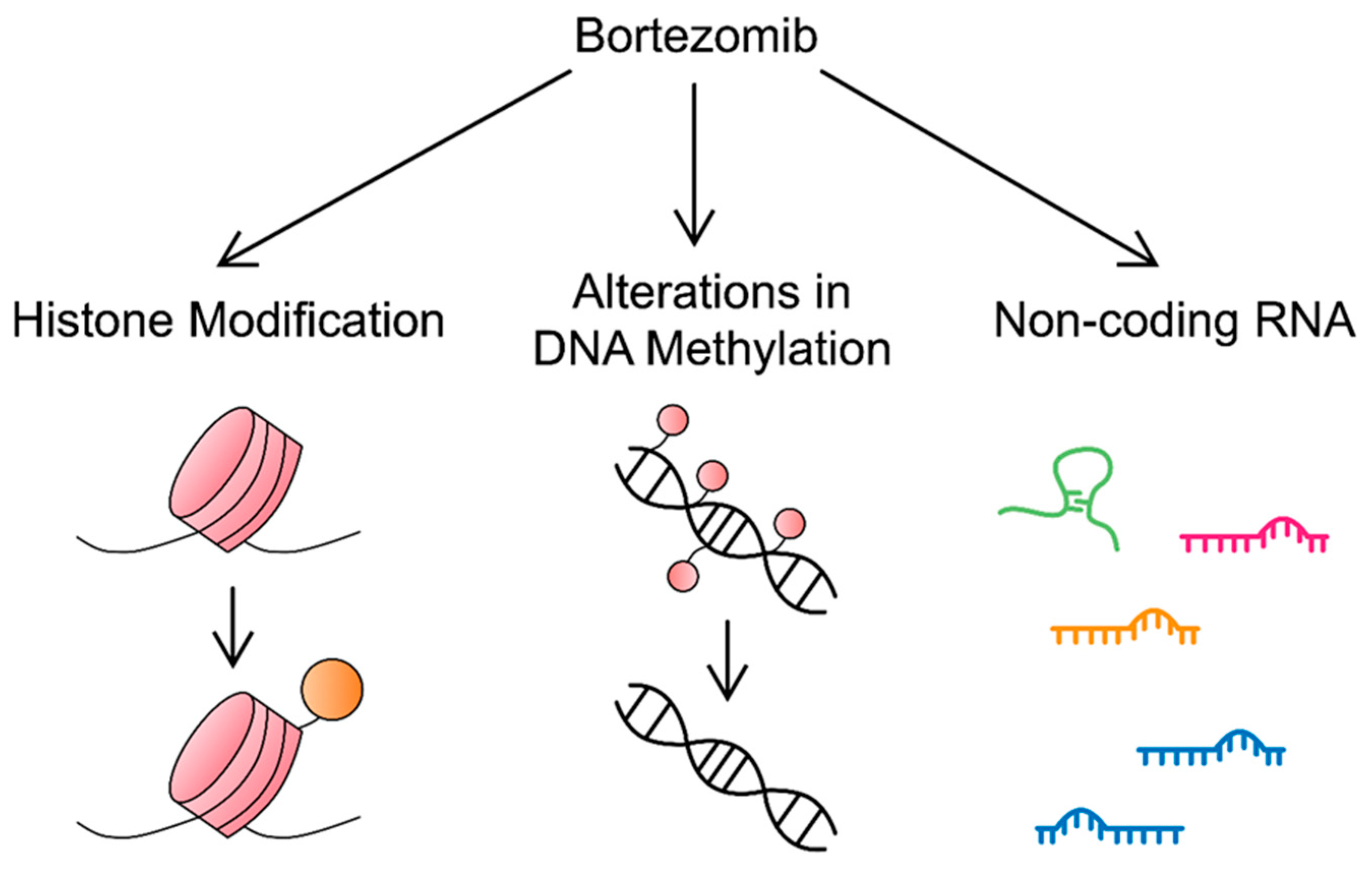 Cancers 16 00084 g002