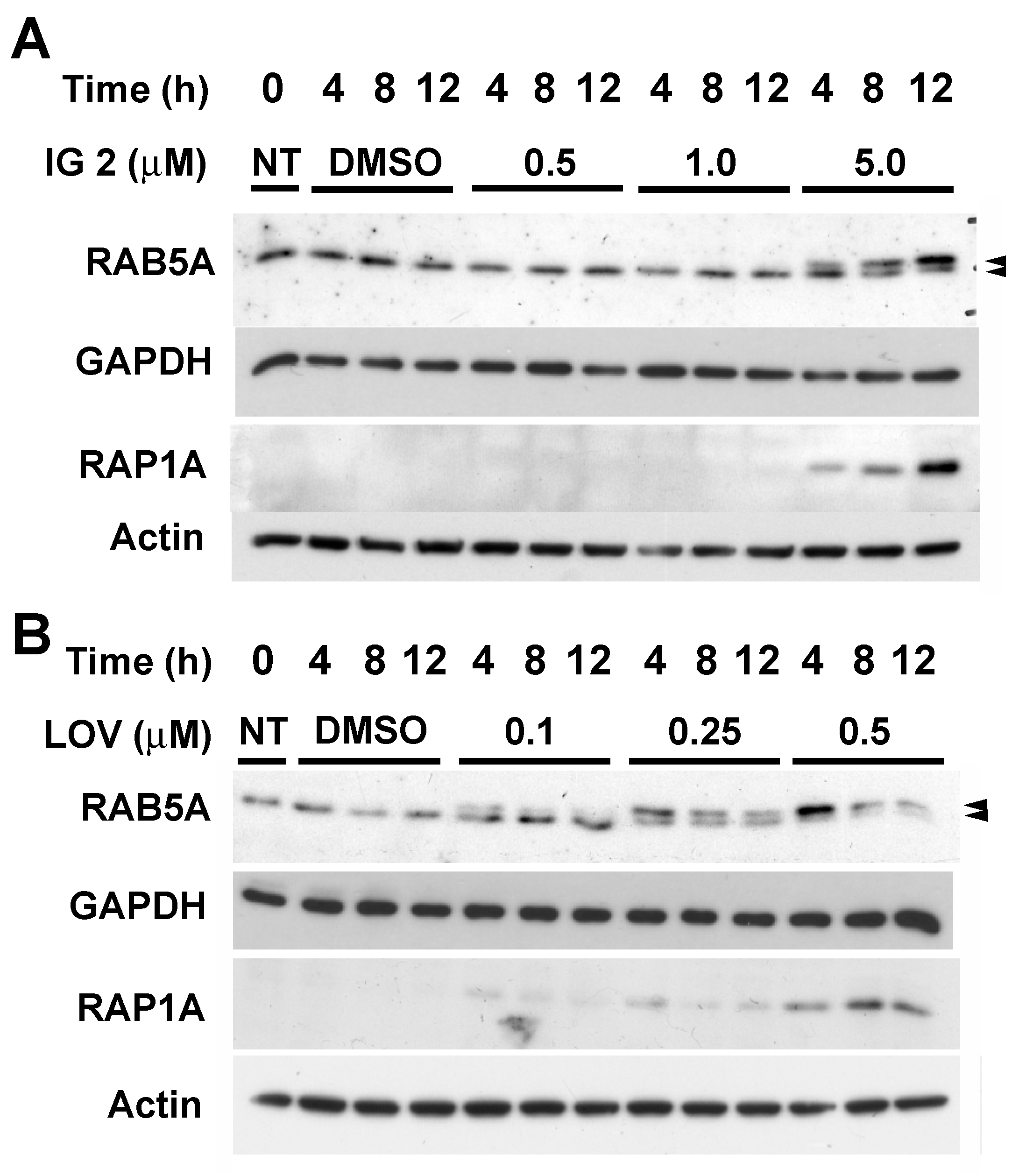 Cancers 16 00089 g007