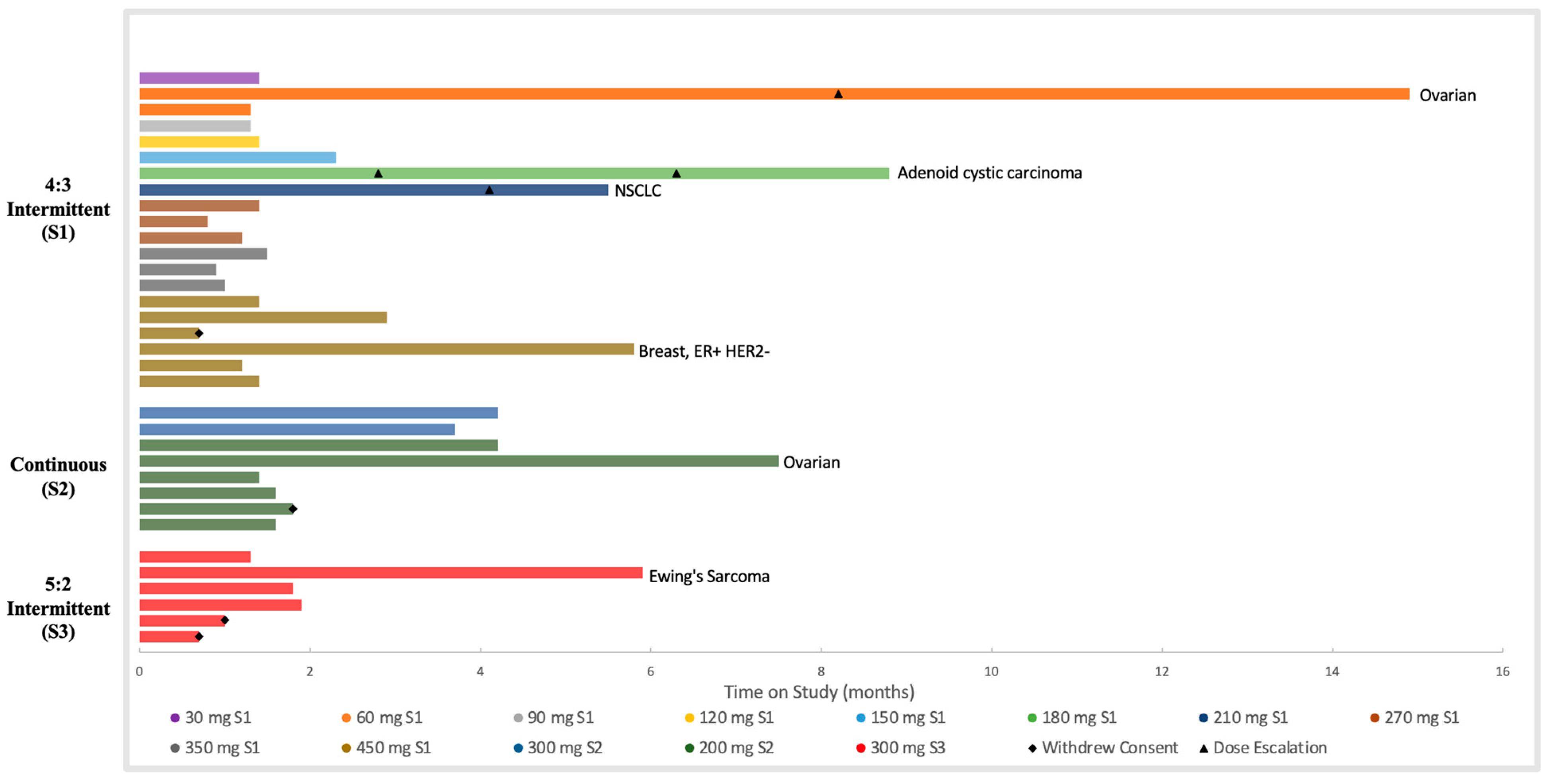 Cancers 16 00091 g001