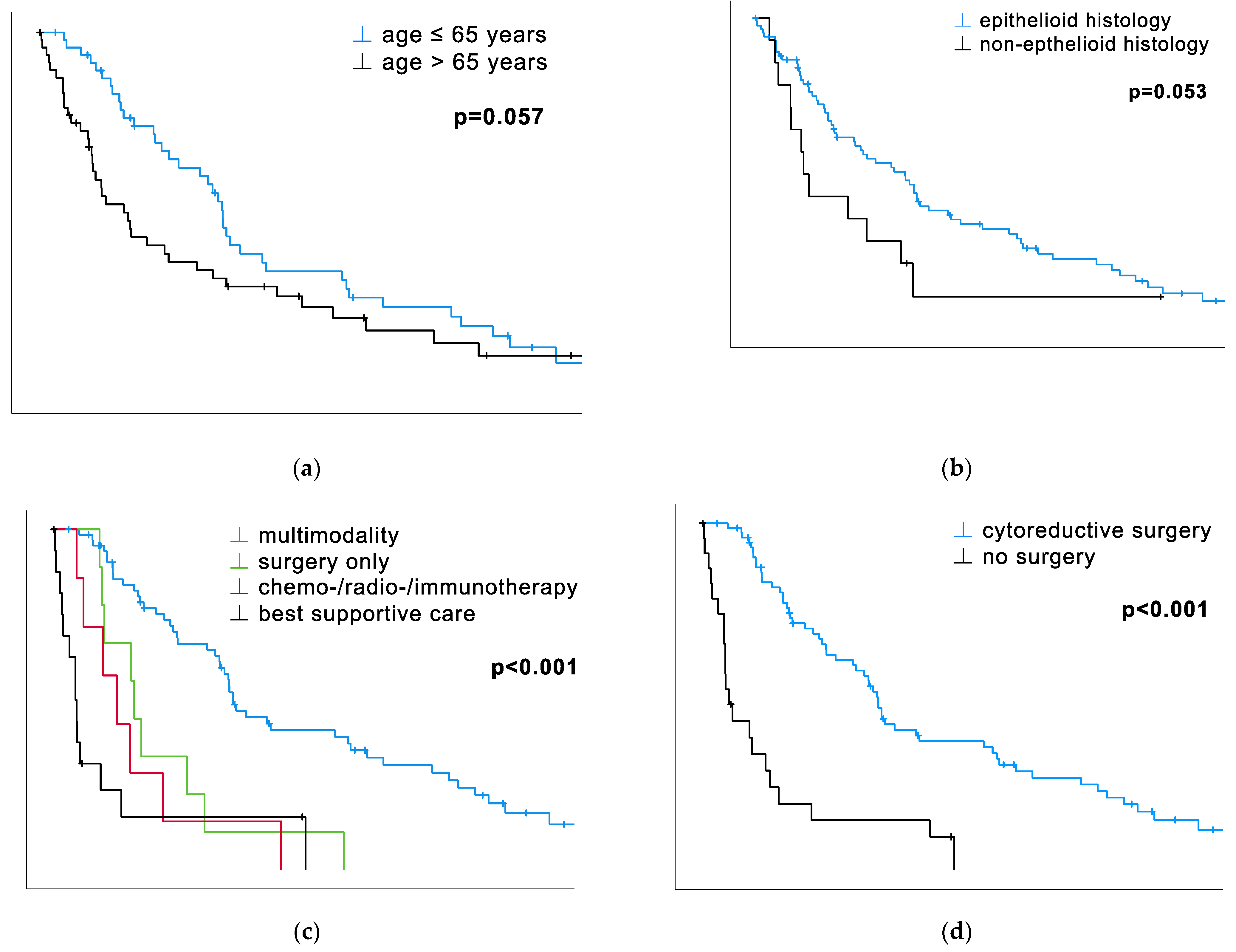 Cancers 16 00093 g001a