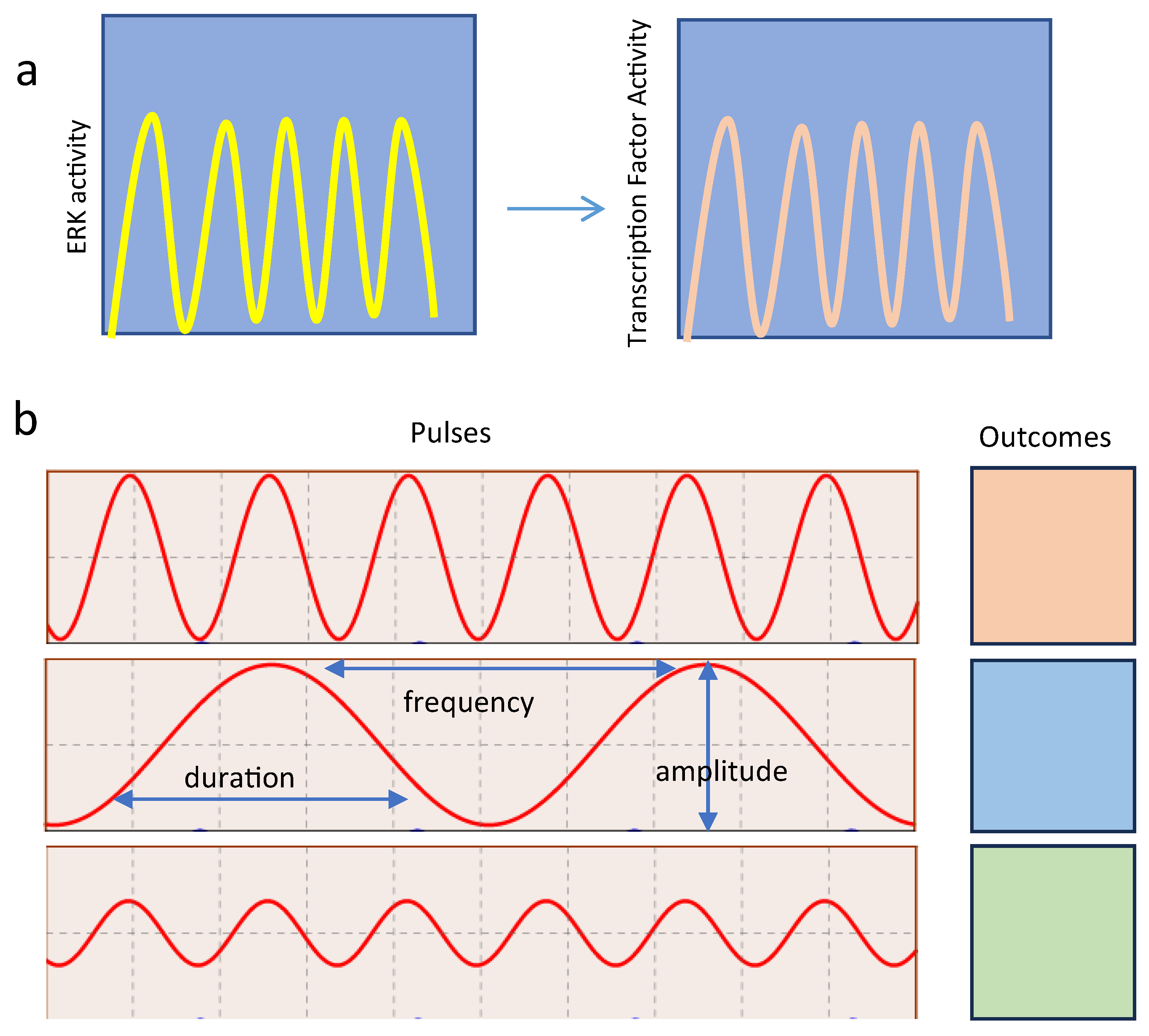 Cancers 16 00095 g004 Cancers 16 00095 g004