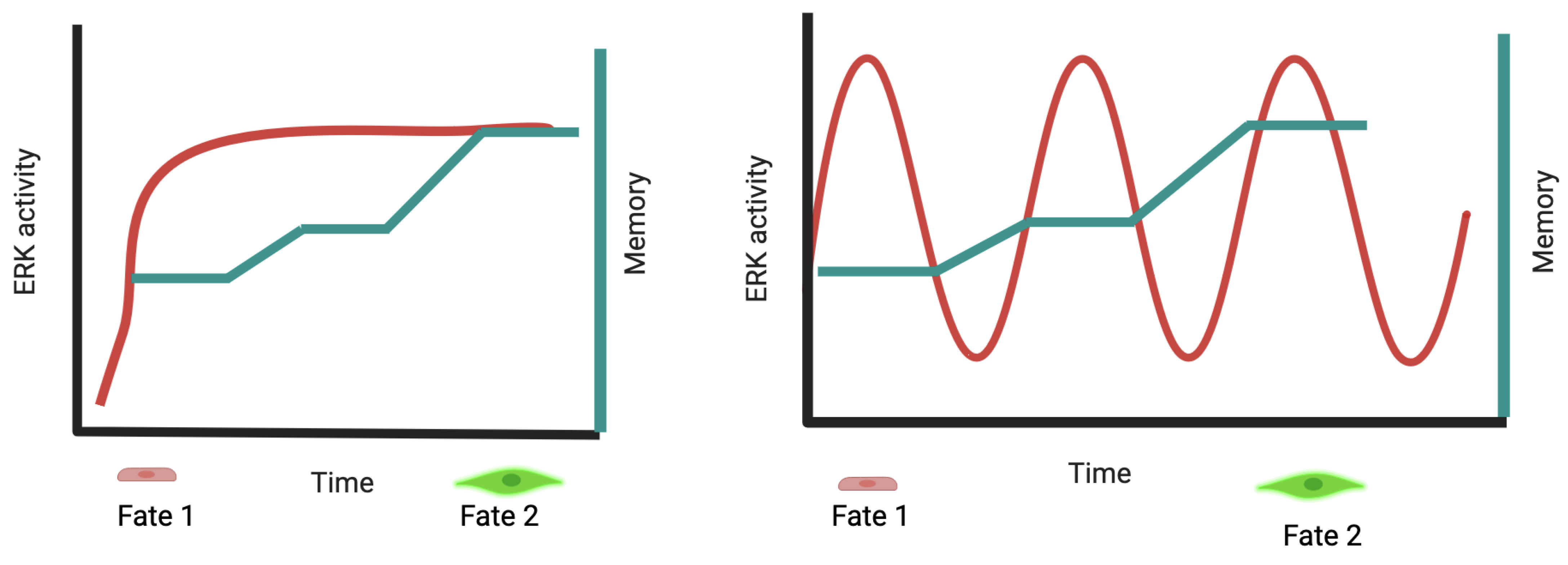 Cancers 16 00095 g005 Cancers 16 00095 g005