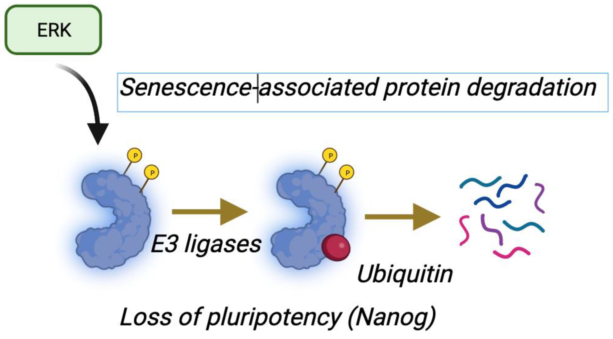 Cancers 16 00095 g006 Cancers 16 00095 g006