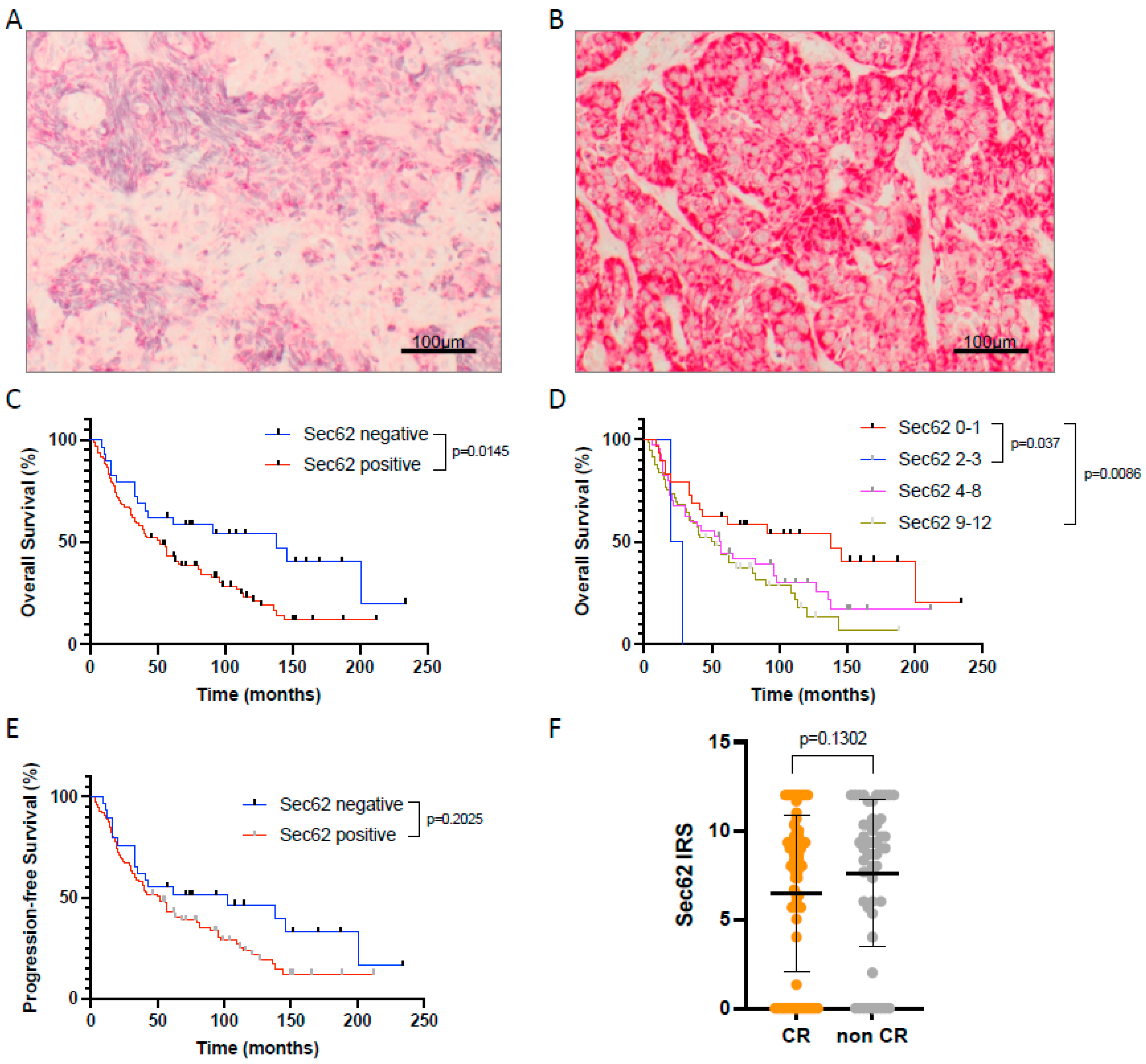 Cancers 16 00098 g001