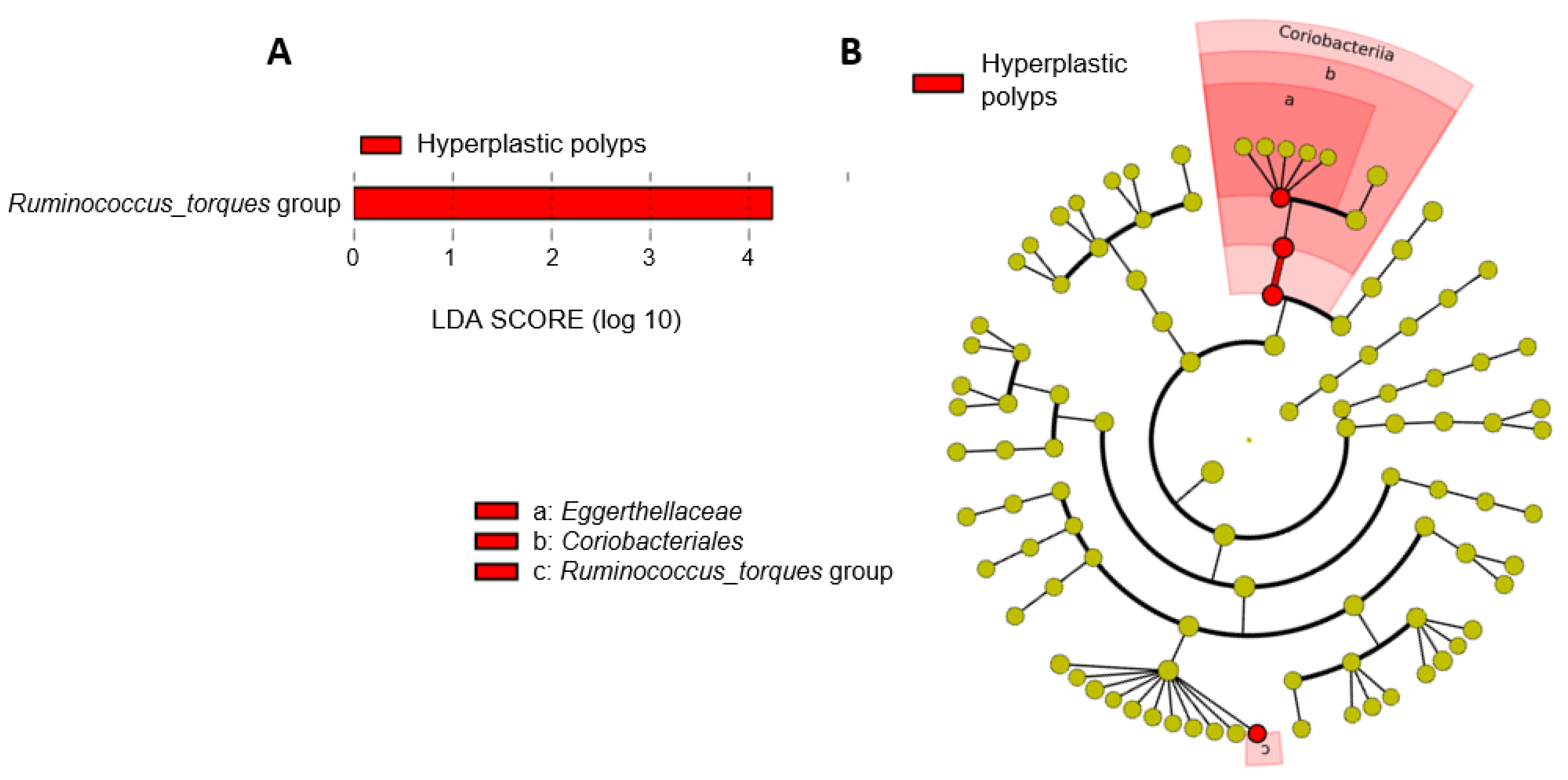 Cancers 16 00104 g003