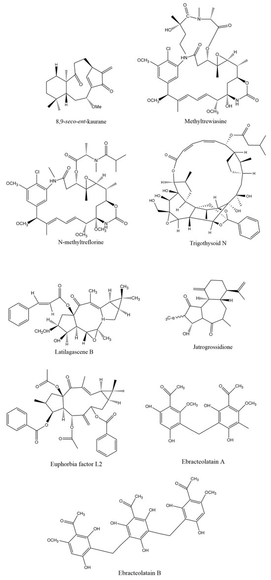 Nature's Green Potential: Anticancer Properties of Plants of
