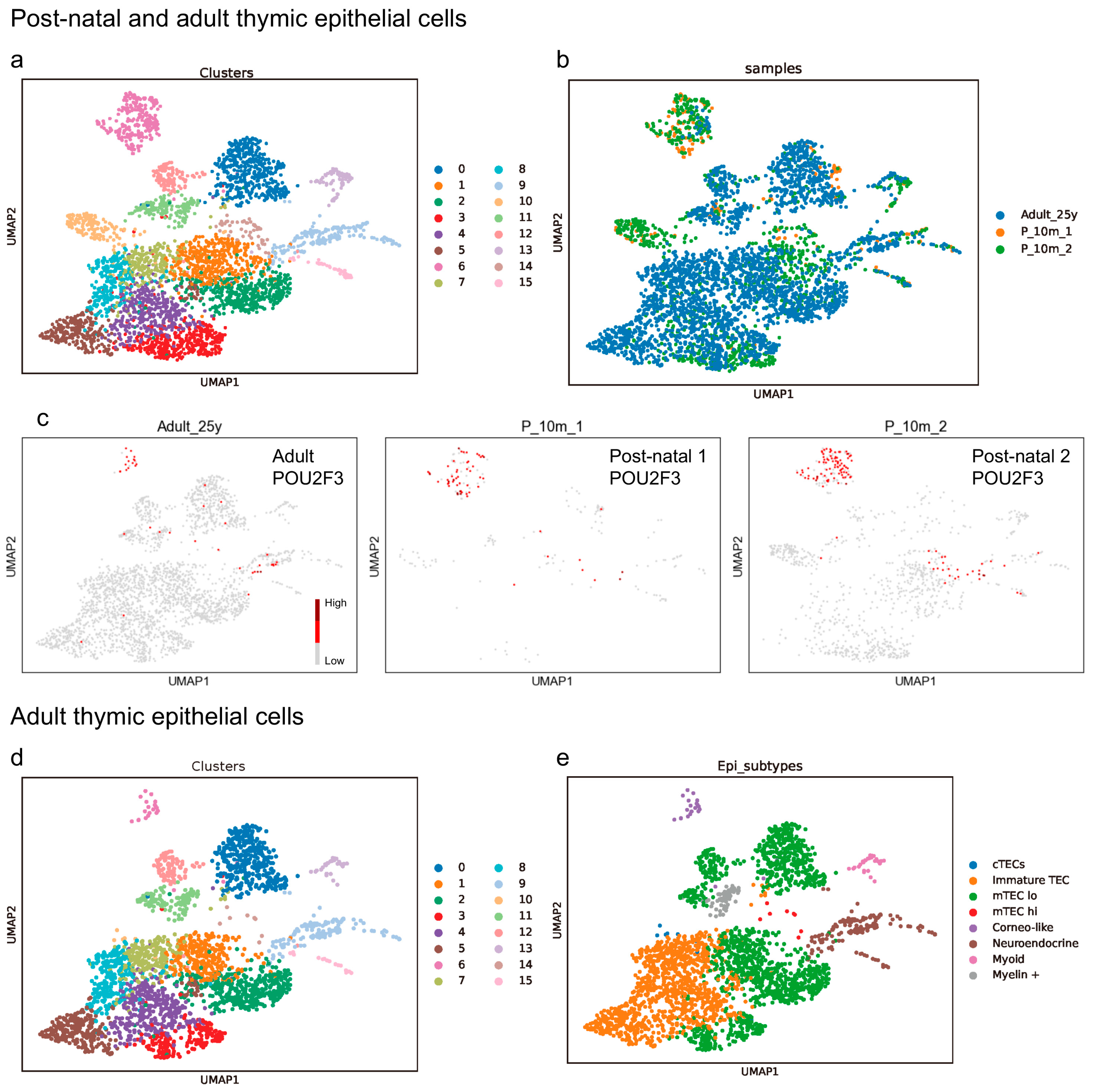 Cancers 16 00115 g001