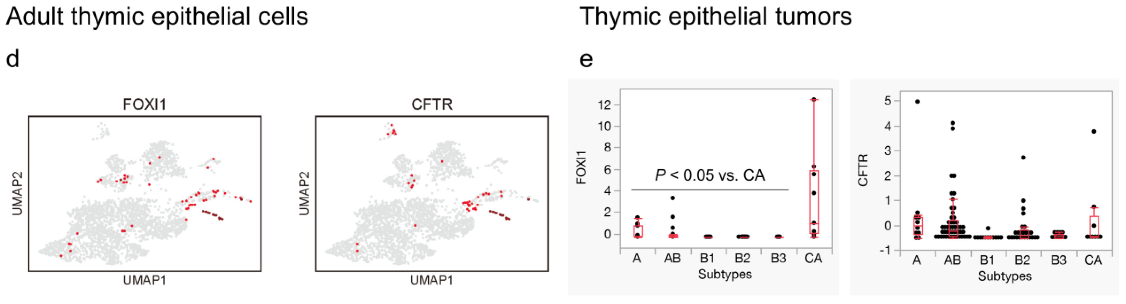 Cancers 16 00115 g002b