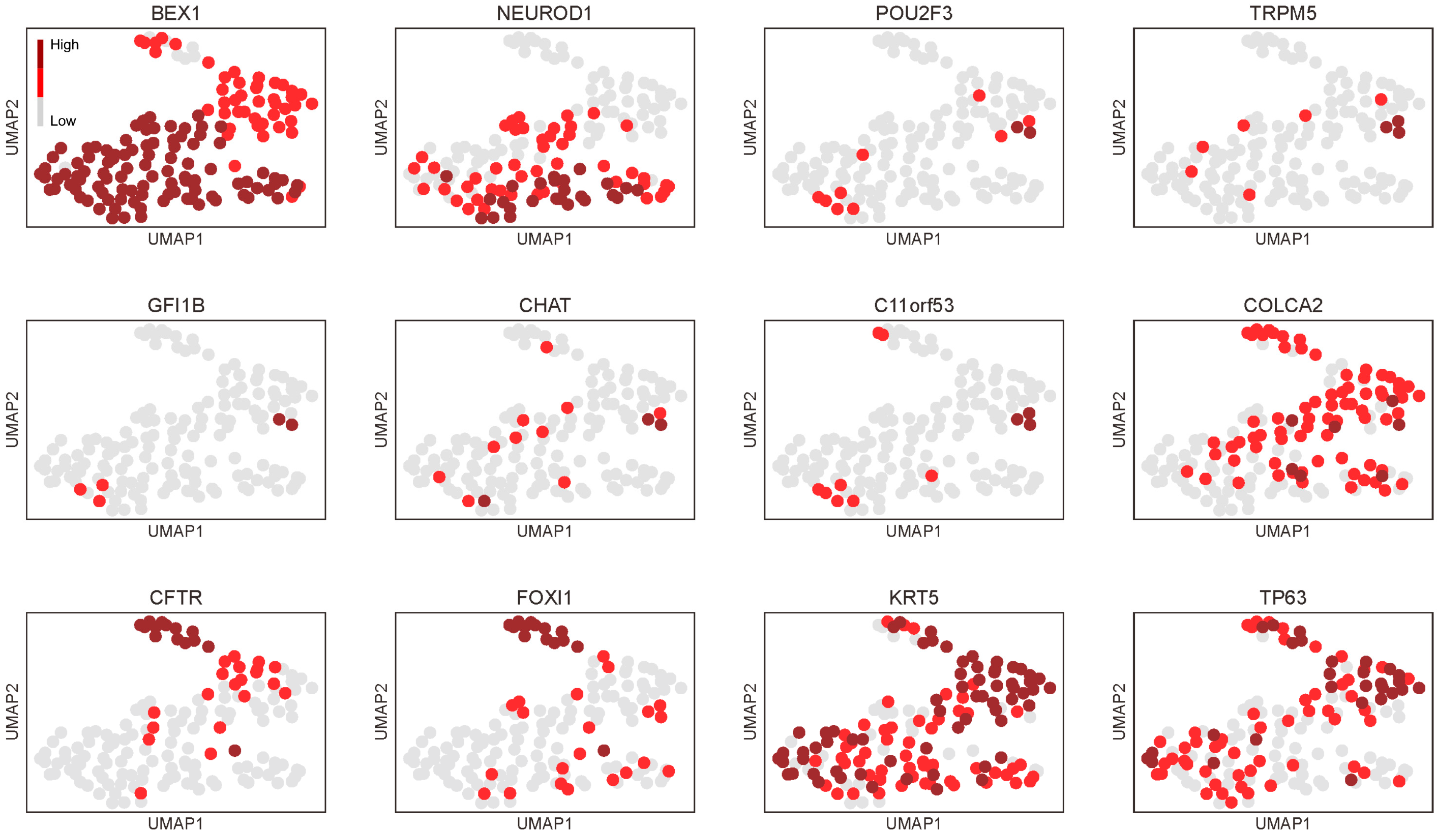 Cancers 16 00115 g004