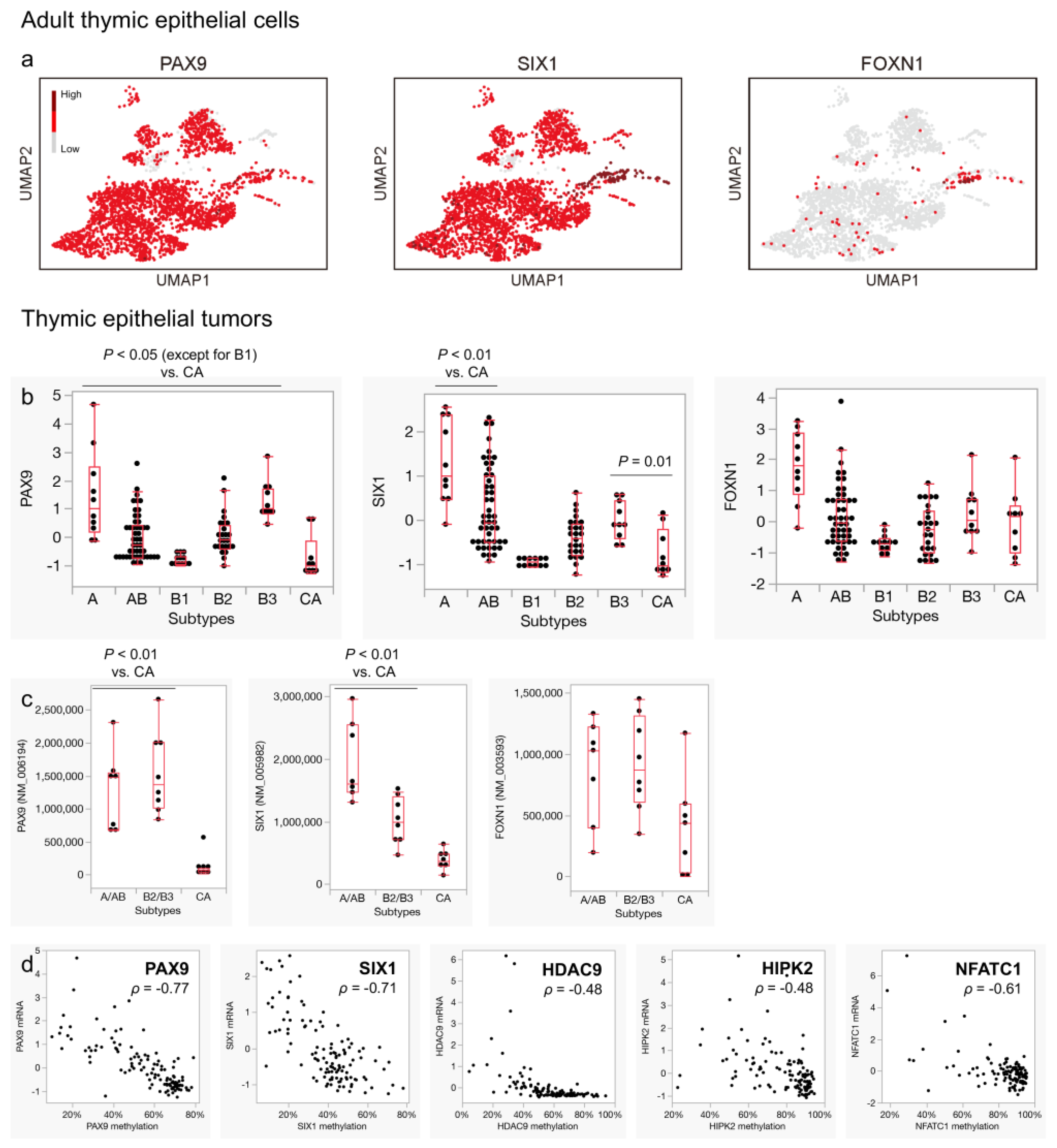Cancers 16 00115 g007
