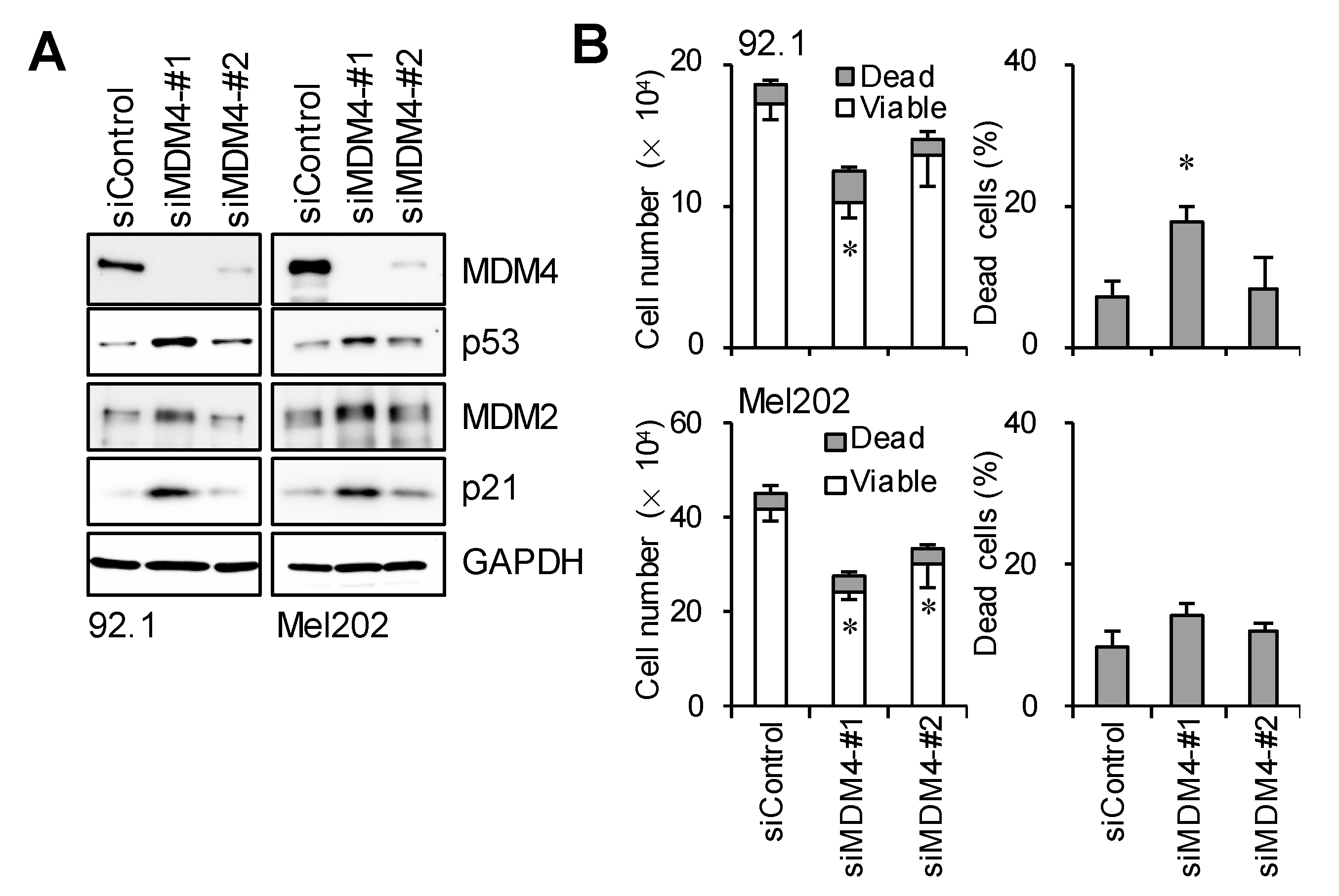 Cancers 16 00118 g004