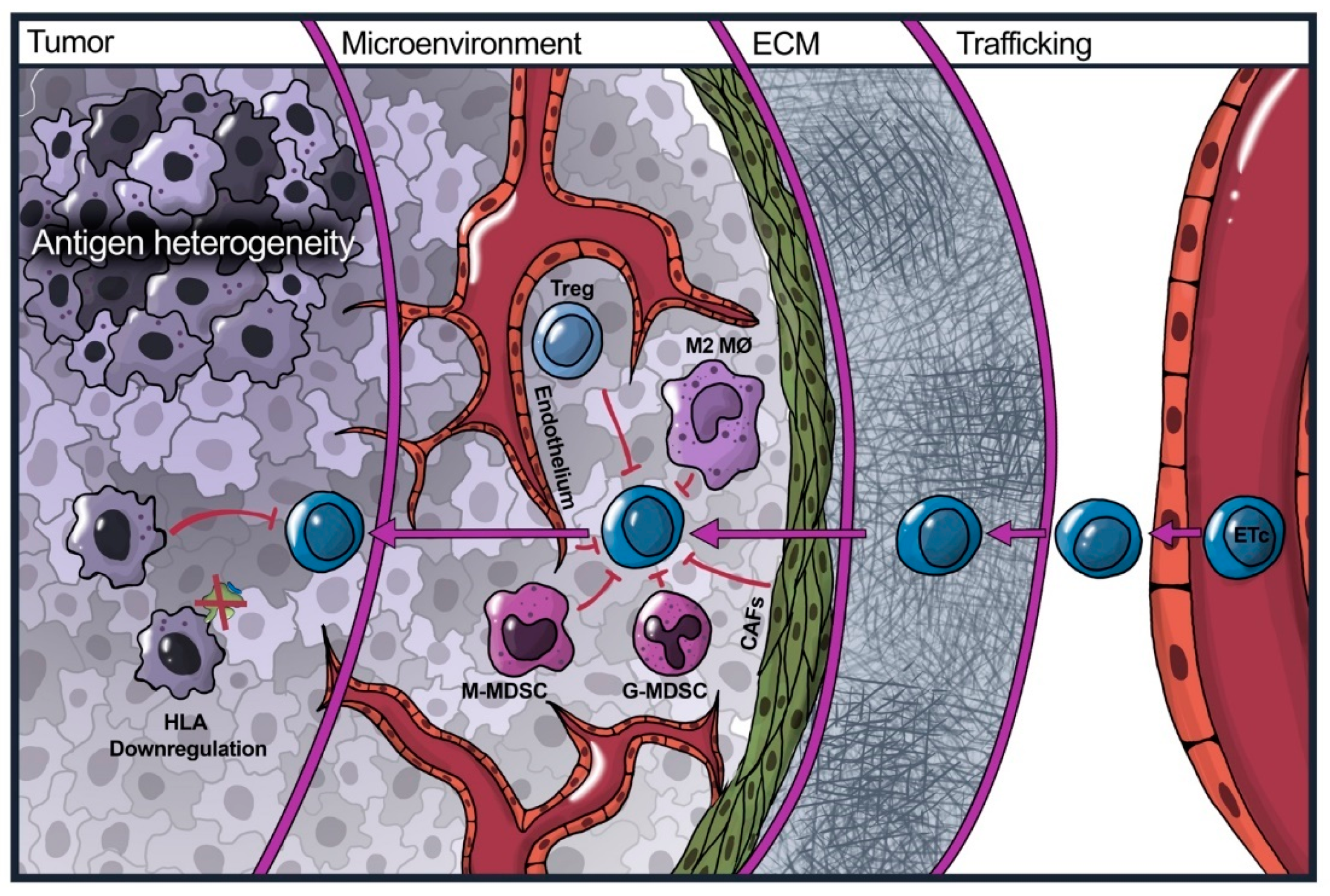 Cancers 16 00124 g002