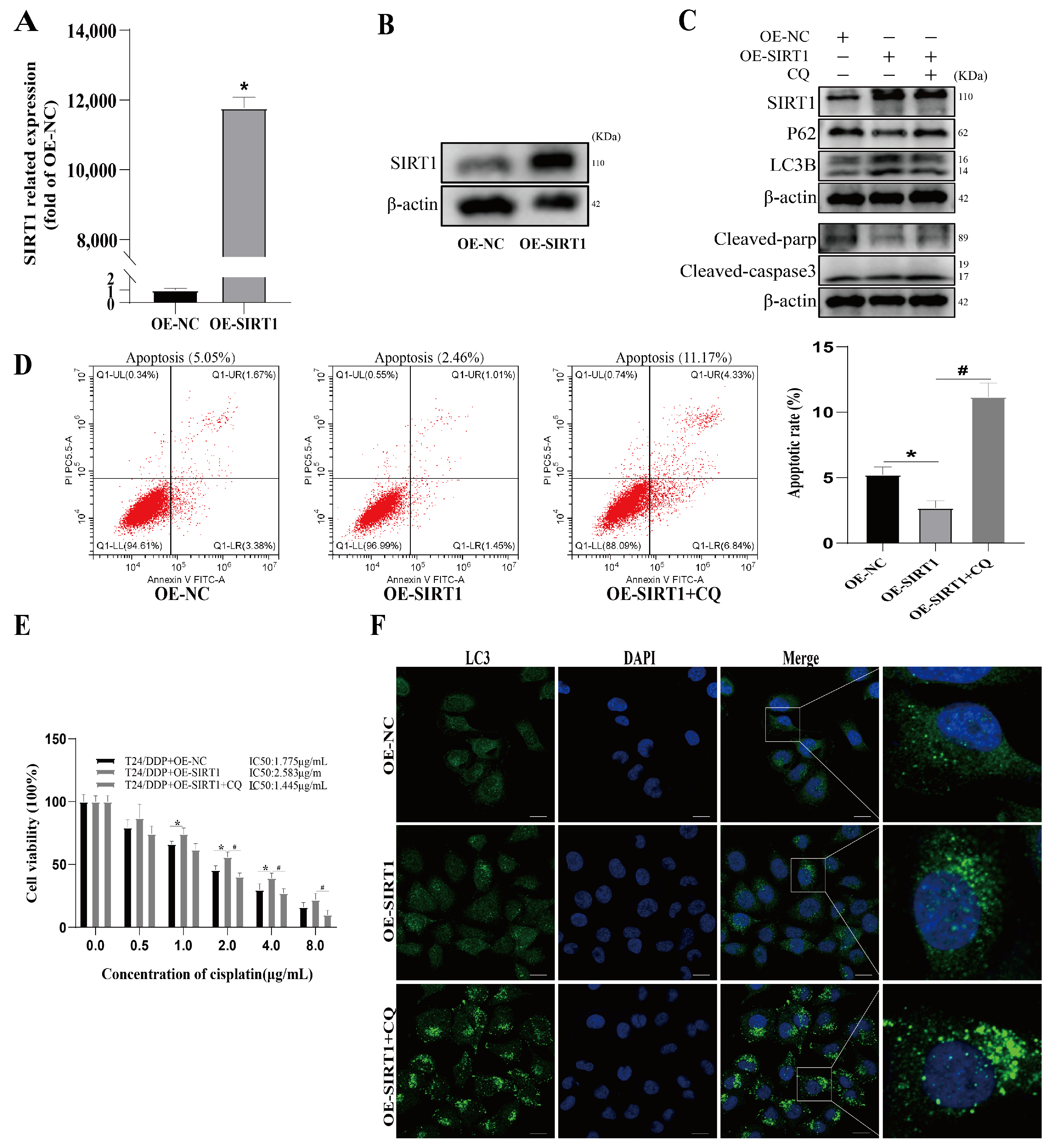 Cancers 16 00125 g004