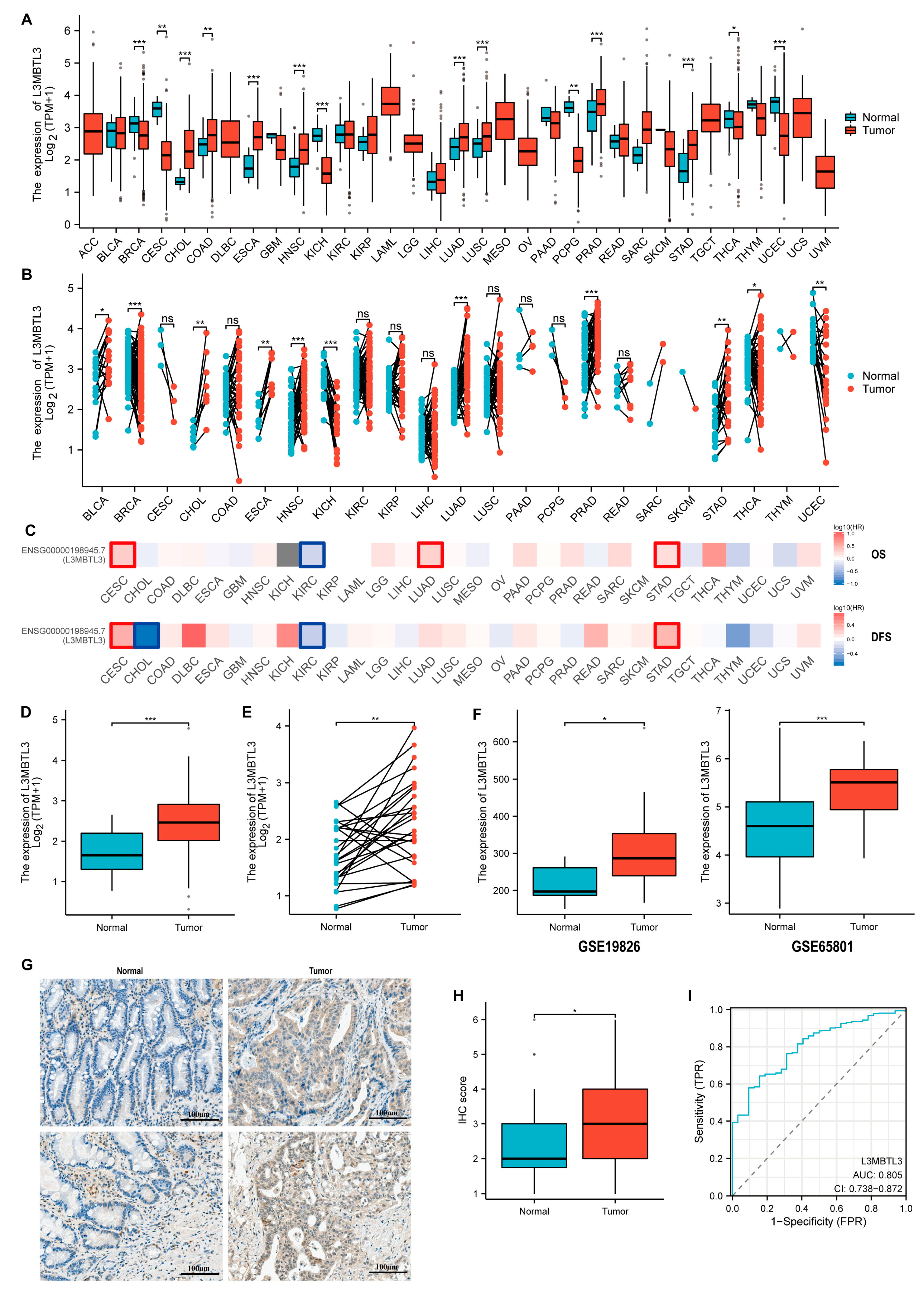 Cancers 16 00128 g001