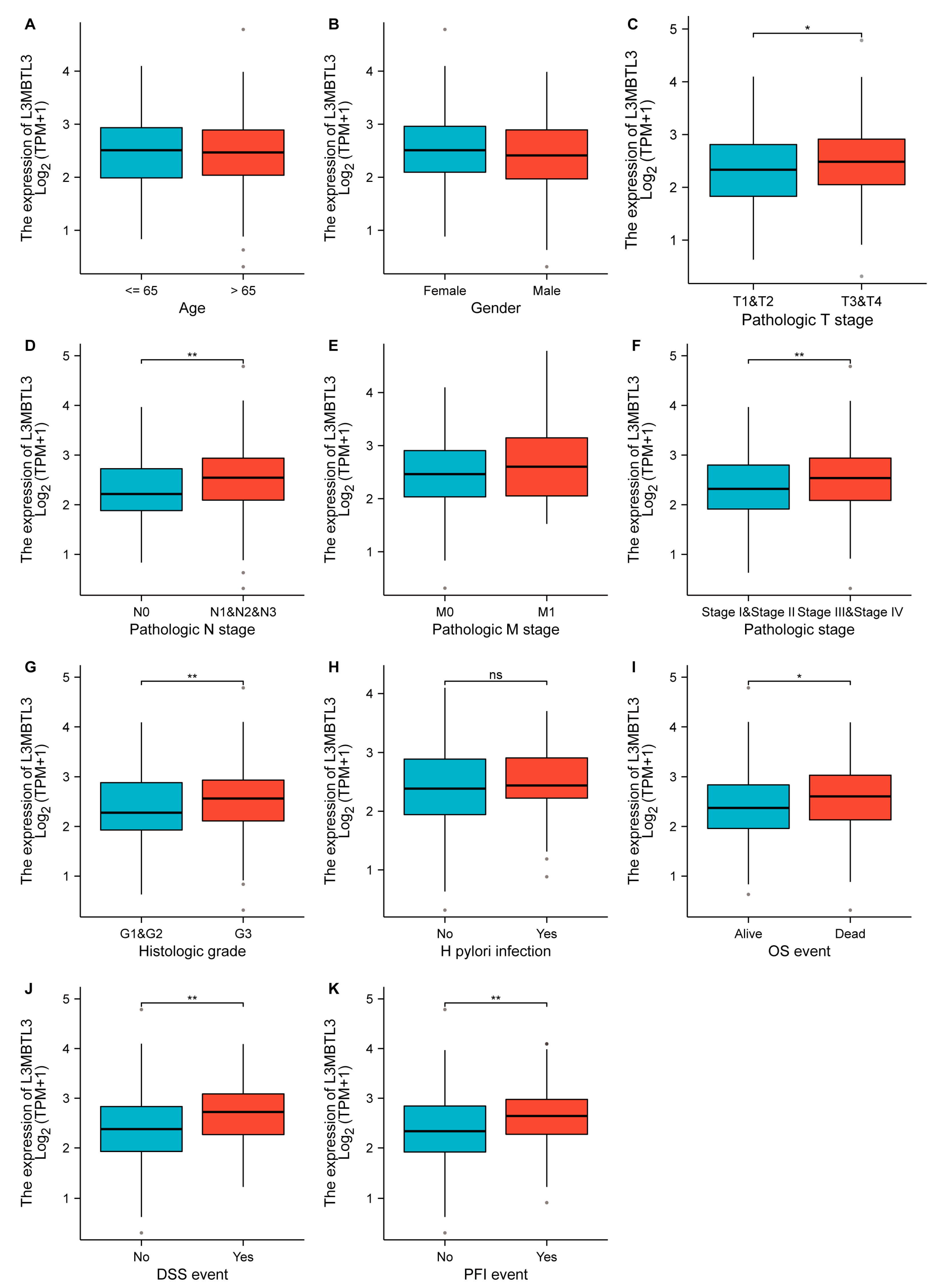 Cancers 16 00128 g002