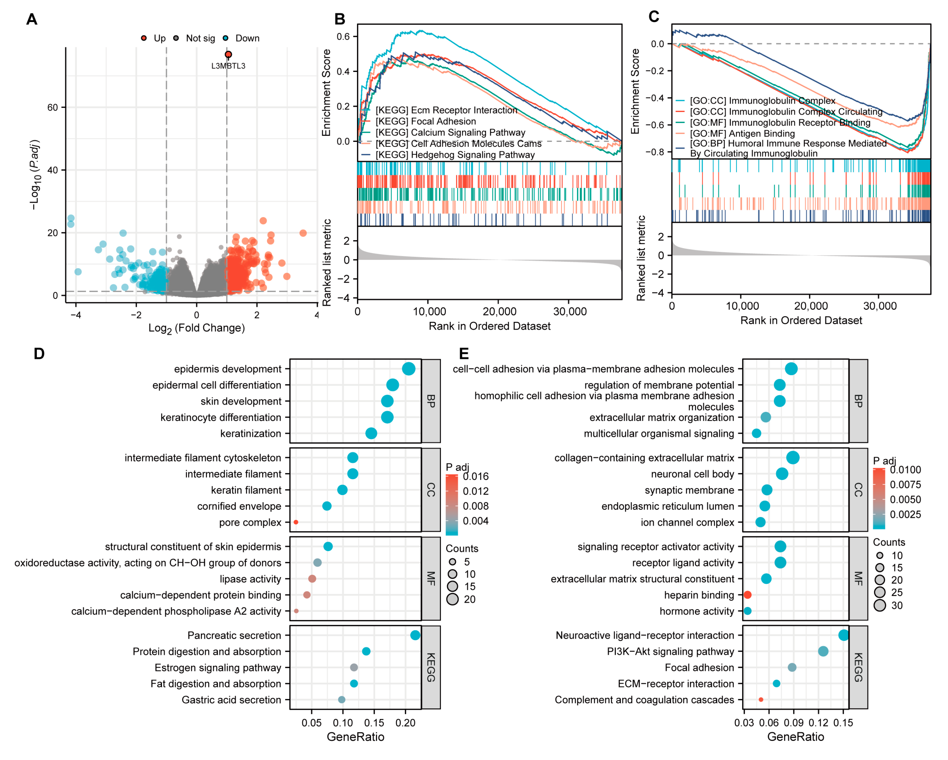 Cancers 16 00128 g004