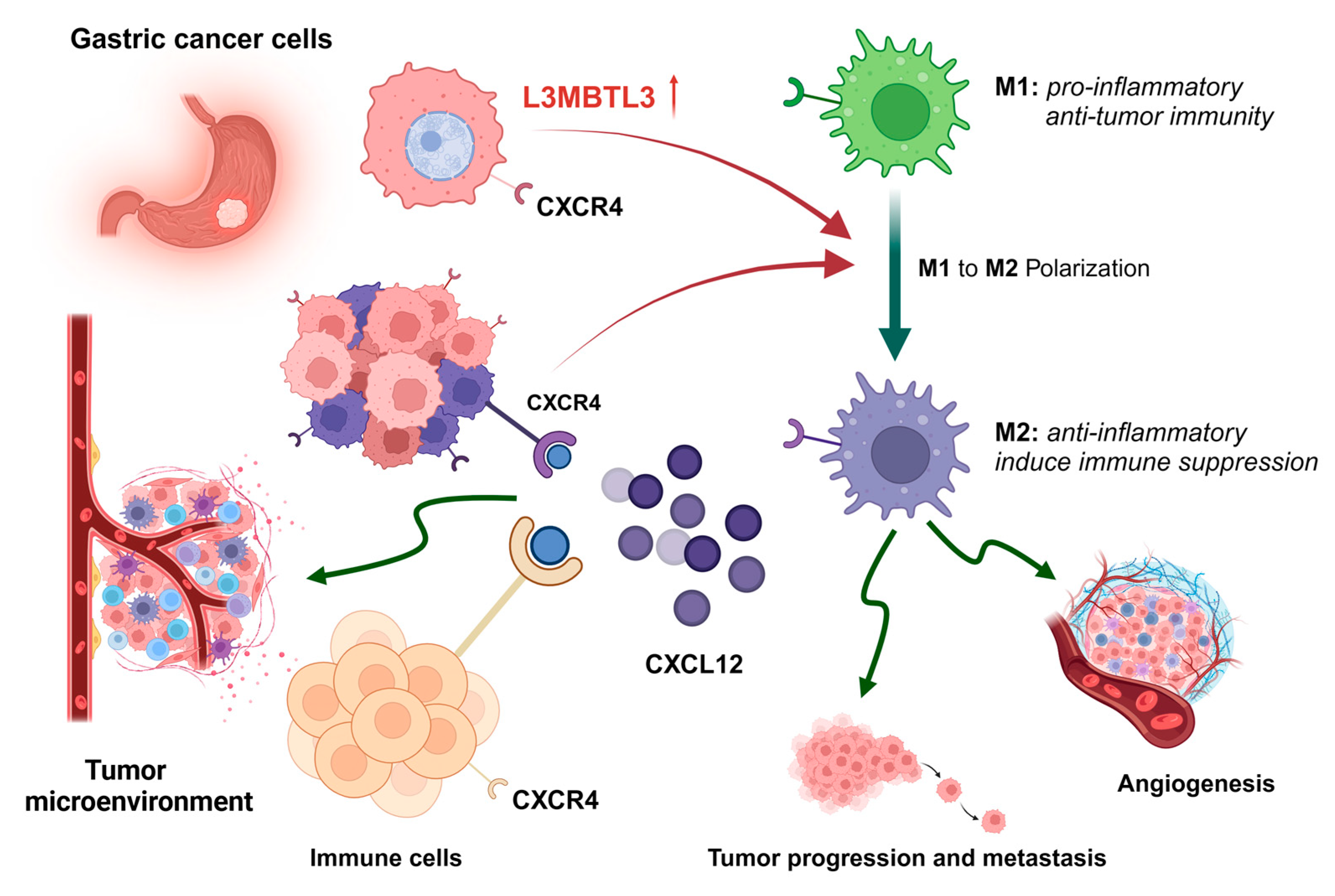 Cancers 16 00128 g007