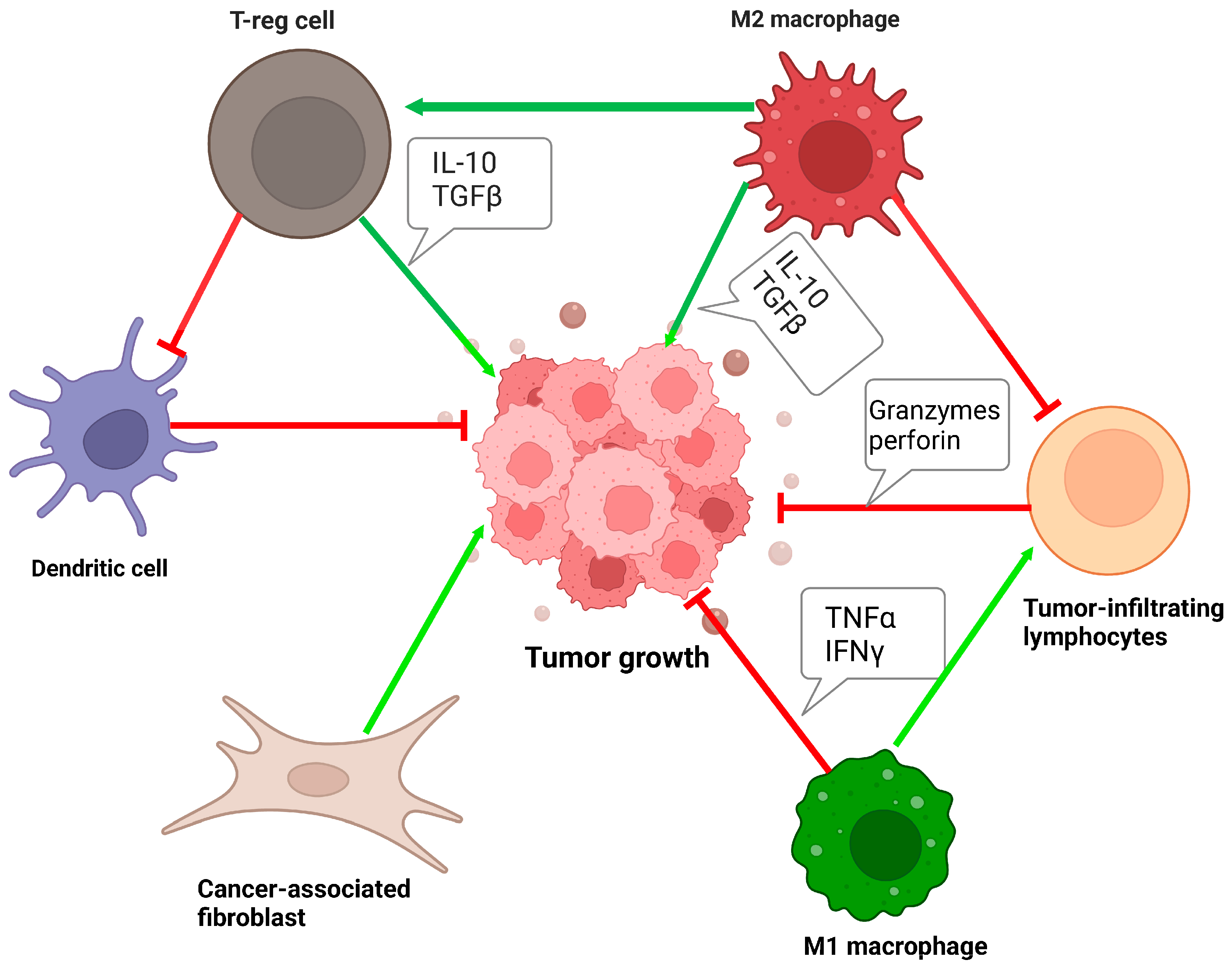 Cancers 16 00131 g002