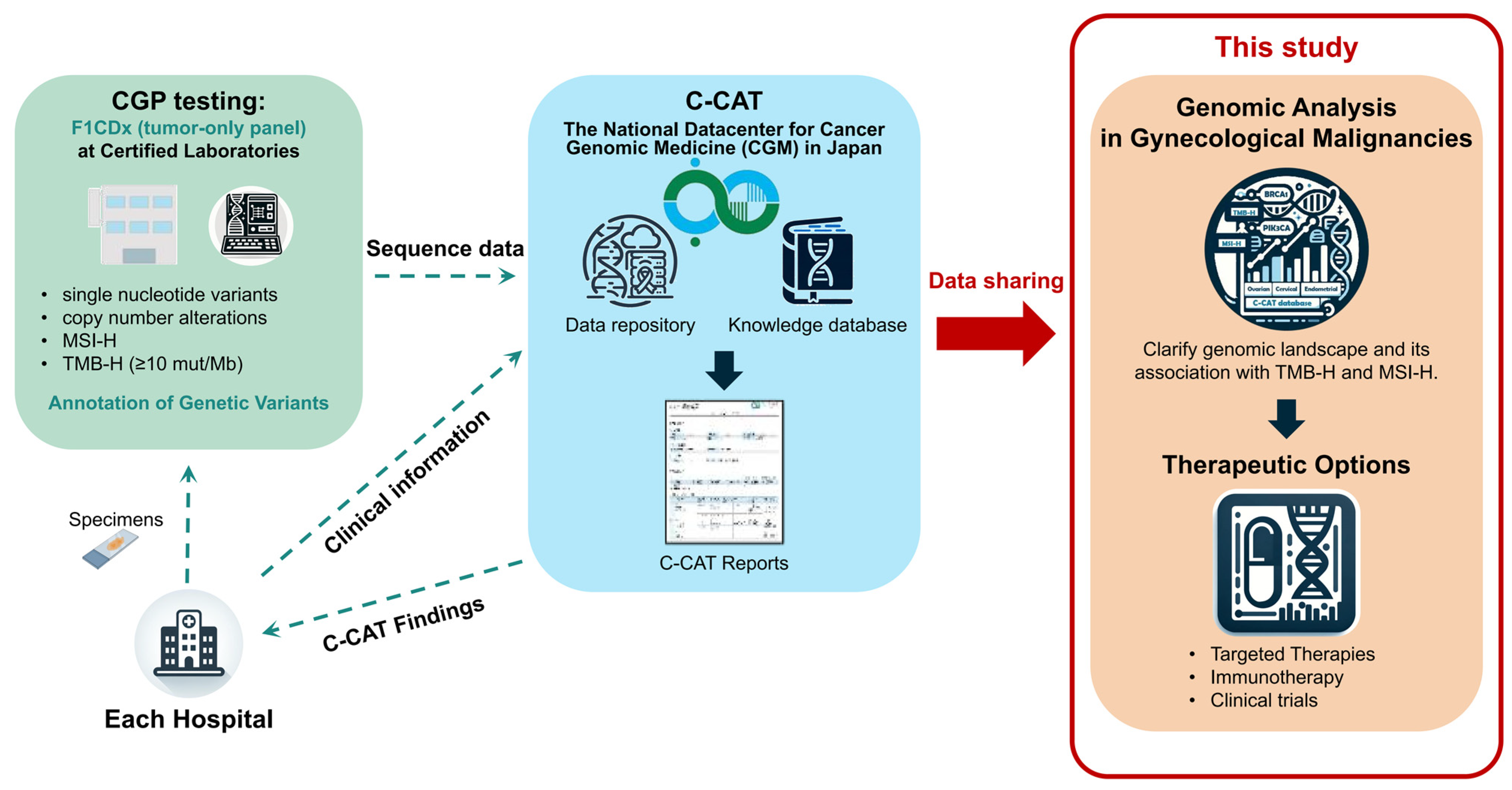 Cancers 16 00136 g001