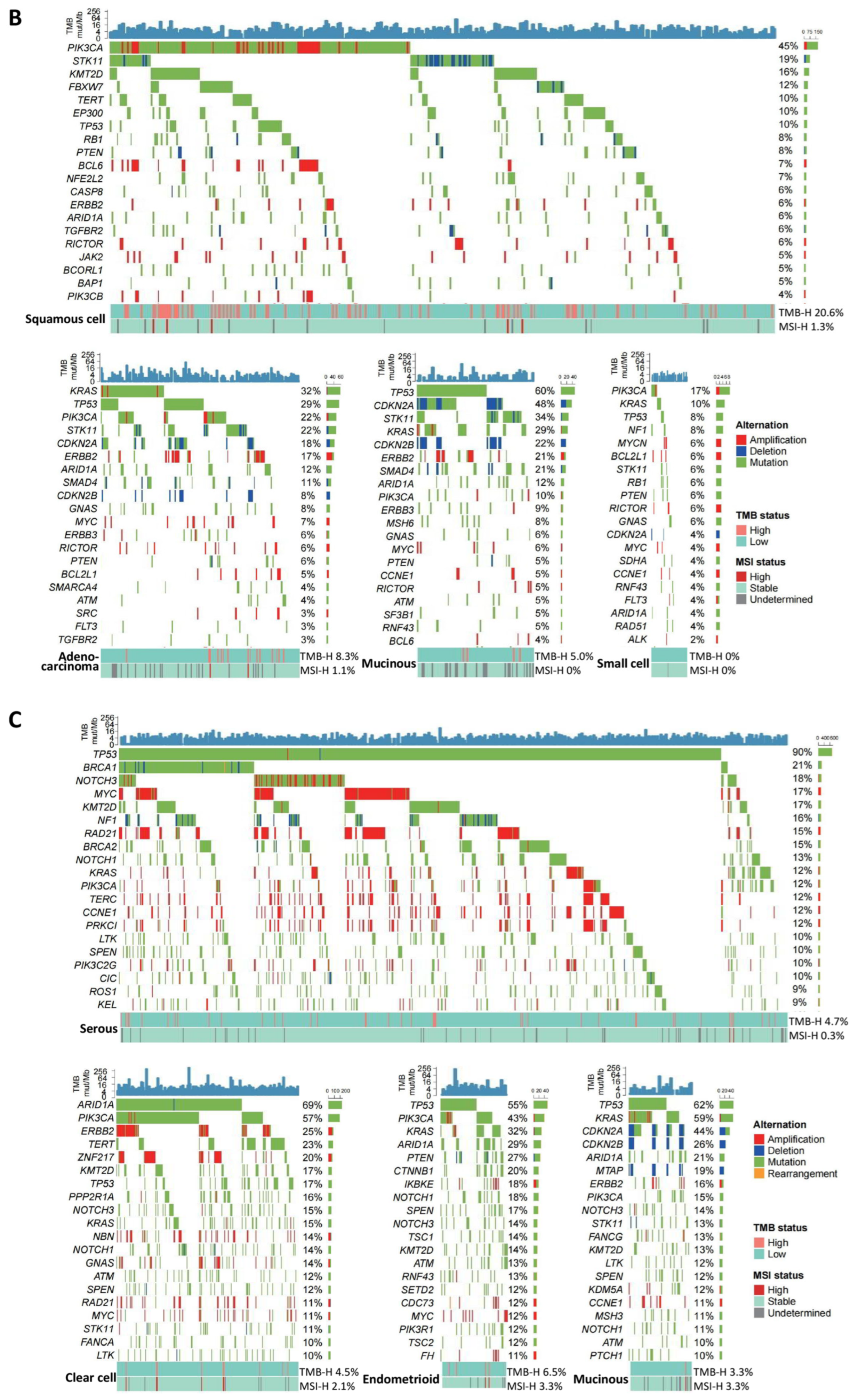 Cancers 16 00136 g002b