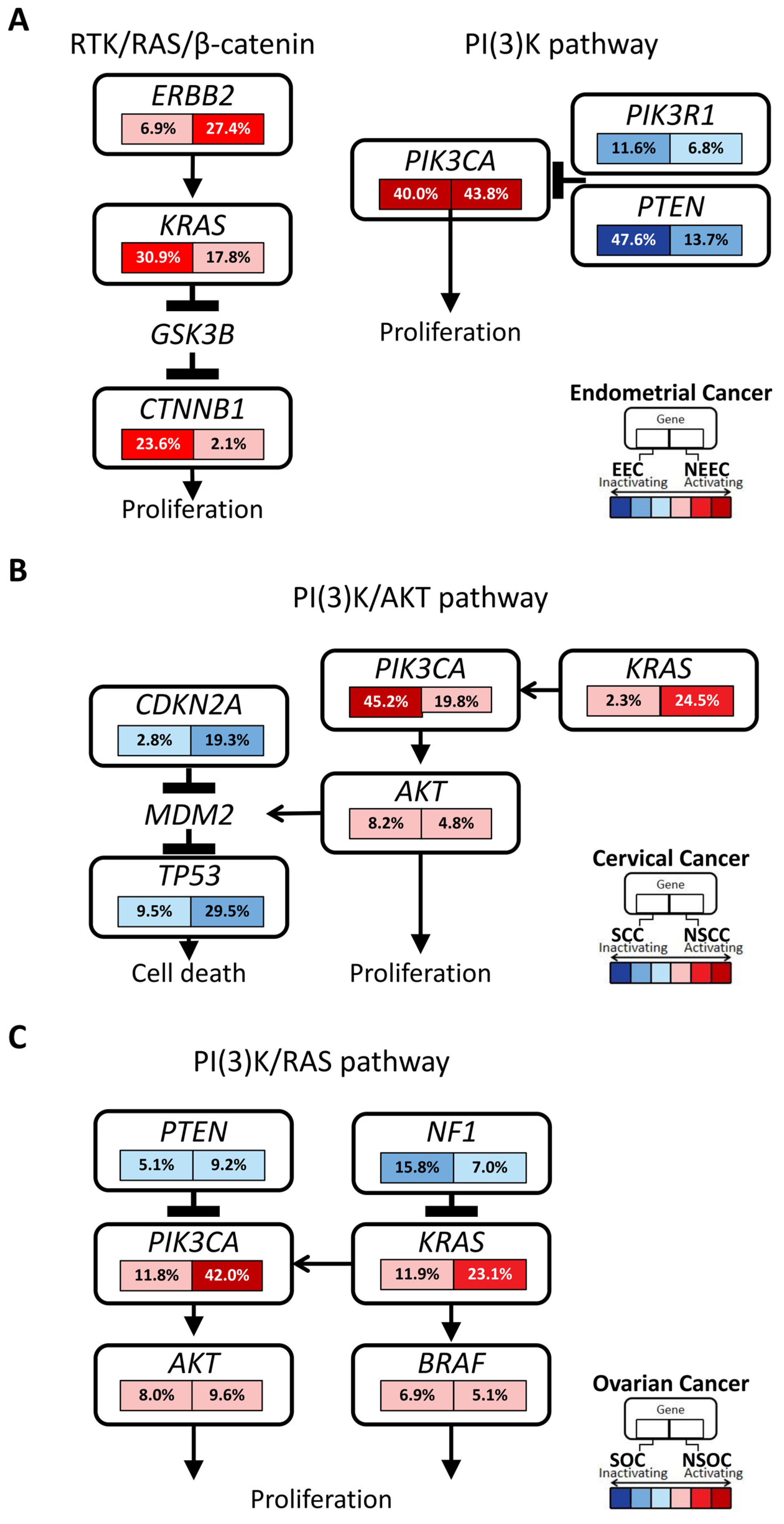 Cancers 16 00136 g003