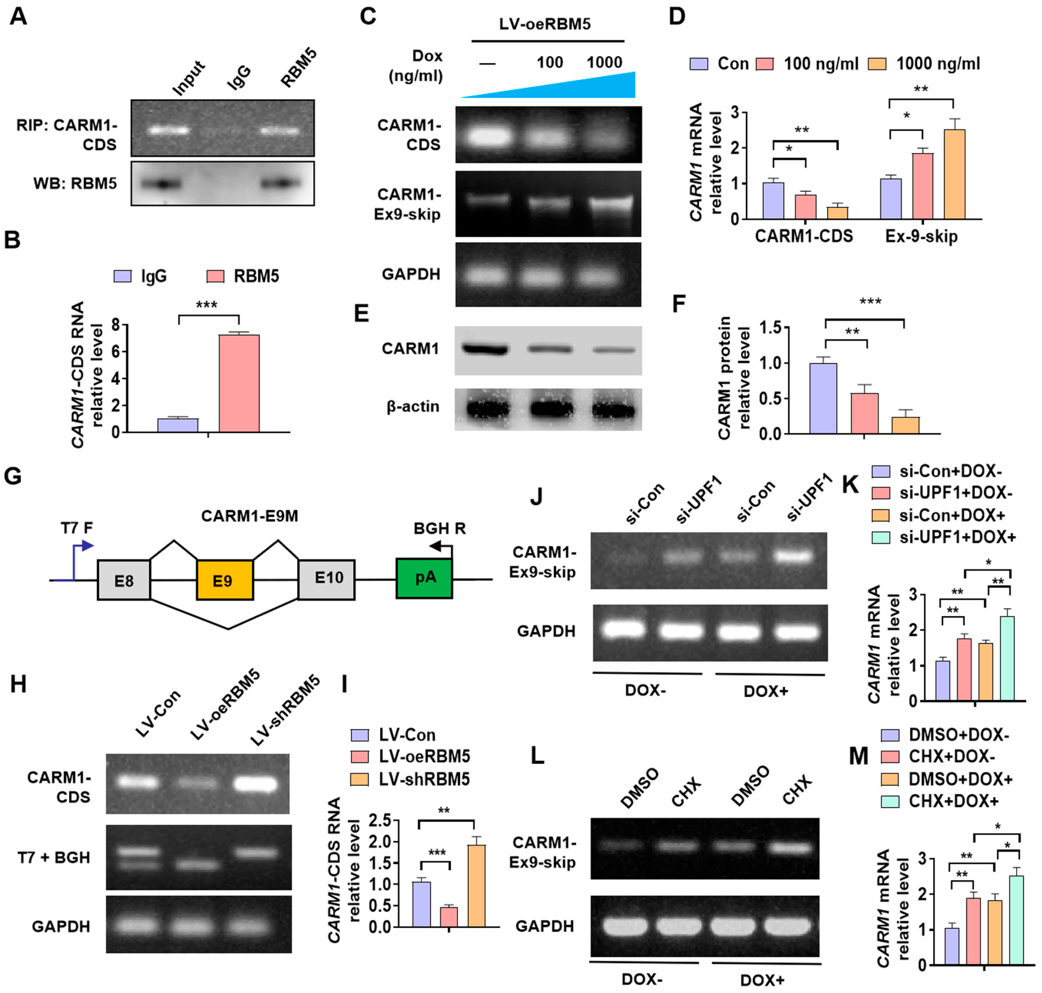 Cancers 16 00139 g004